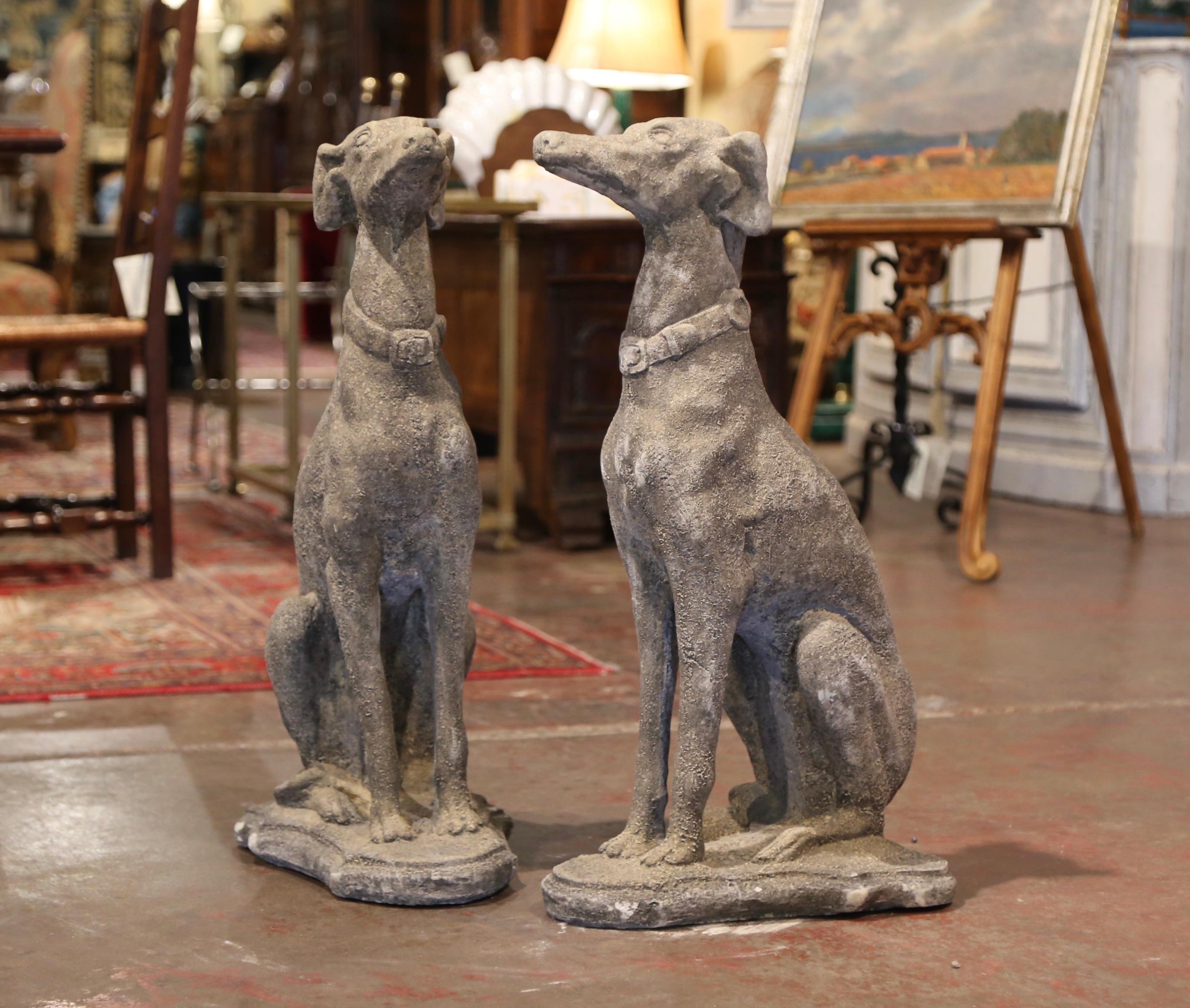 Carved of stone circa 2000, the tall vintage greyhounds are set on a flat carved base; sited on their back legs, both dogs have a proud expression further embellished with a collar around their neck. The garden sculpted canines have a weathered