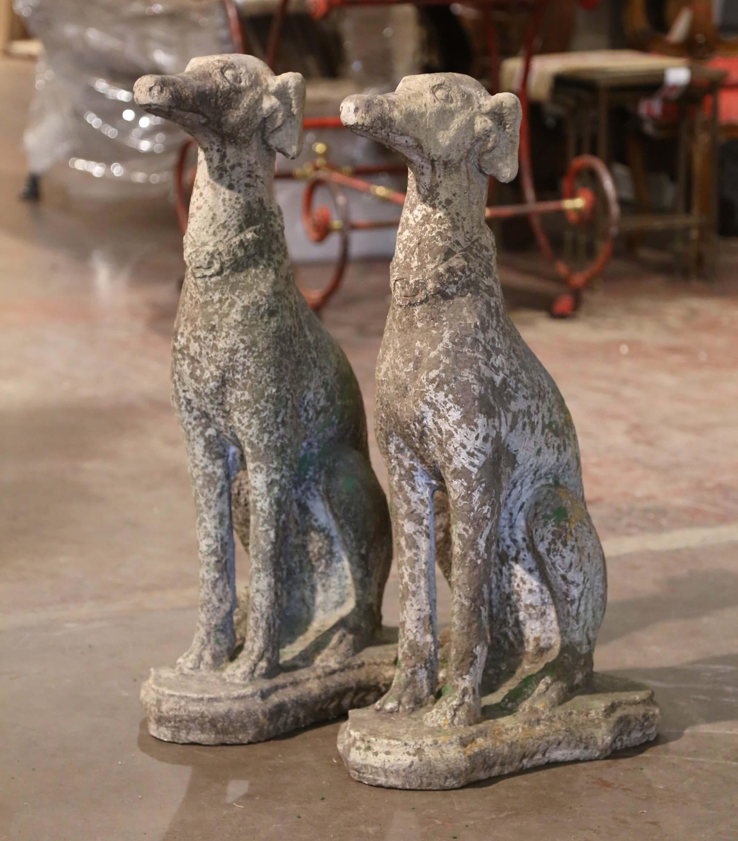Carved of stone, the tall greyhounds are set on an integral flat base; seated on their back legs, both dogs have a proud expression further embellished with a collar around their neck. The vintage garden sculptures adorn a patinated antique