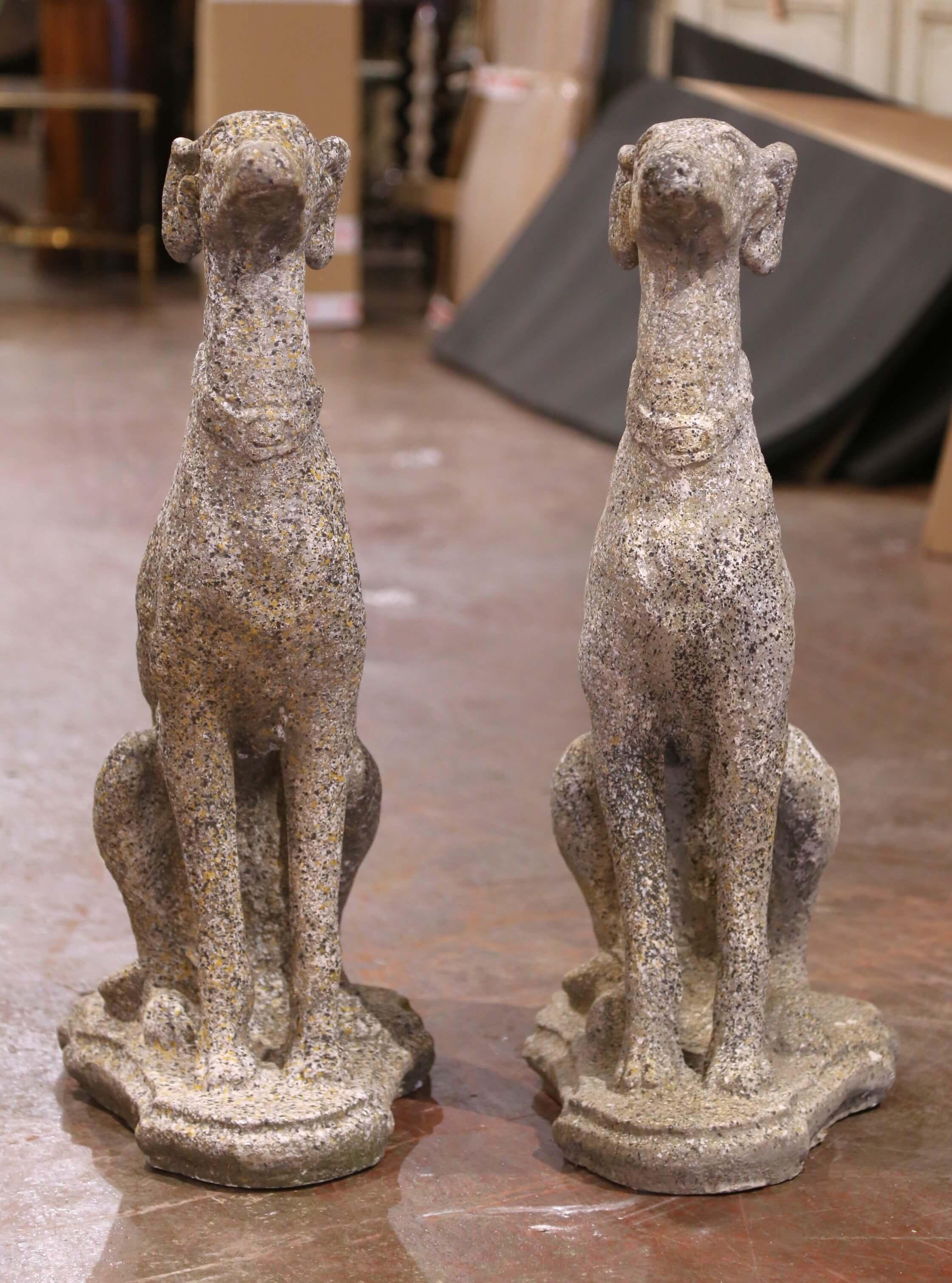 Décorez une porte d'entrée extérieure ou une arrière-cour avec cette élégante paire de Lévriers. Fabriqué dans le sud de la France et sculpté dans la pierre, chaque grand lévrier est fièrement assis sur ses pattes, avec une expression attentive et
