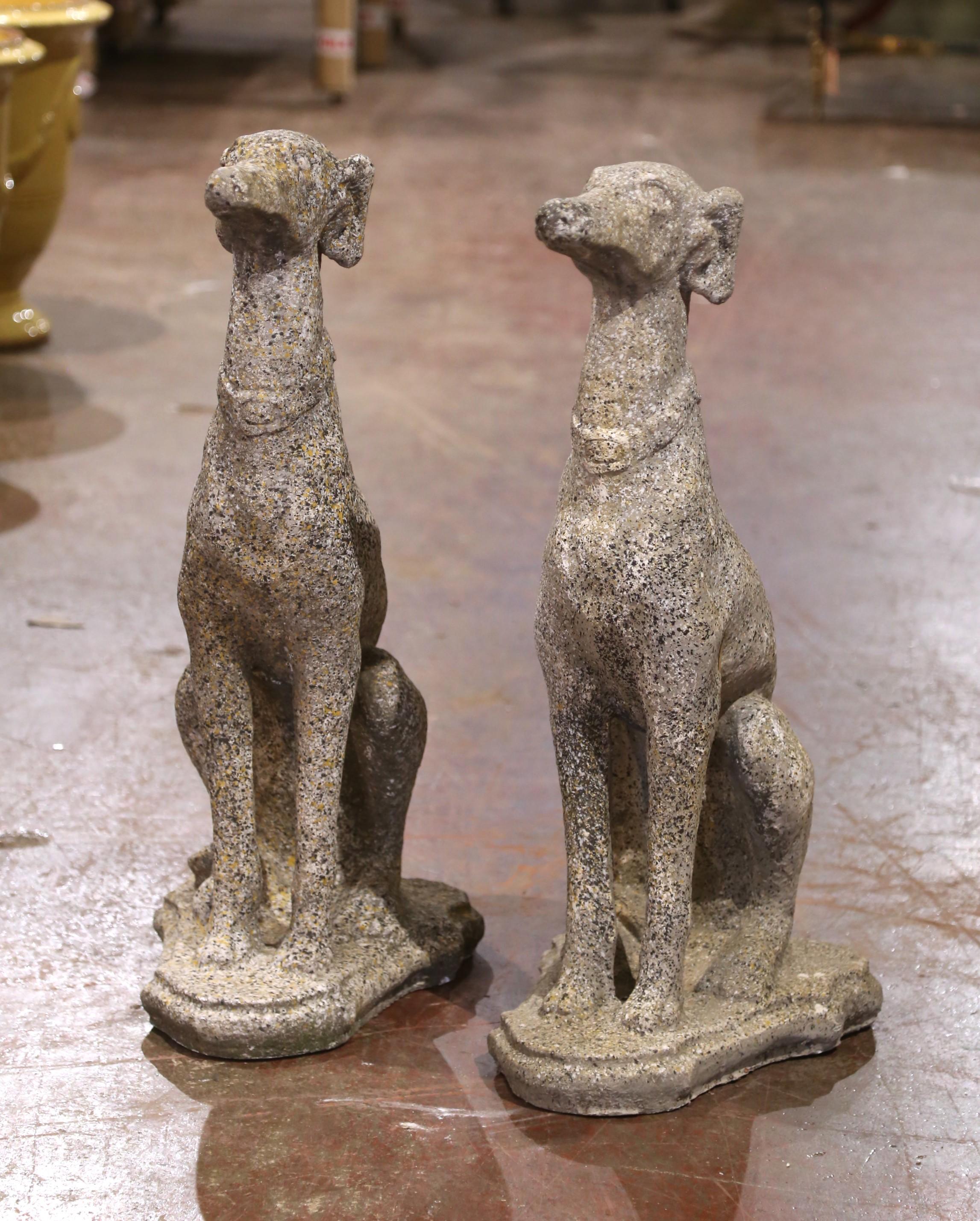 Paire de Sculptures de chien lévrier en pierre sculptée pour l'extérieur. Excellent état - En vente à Dallas, TX