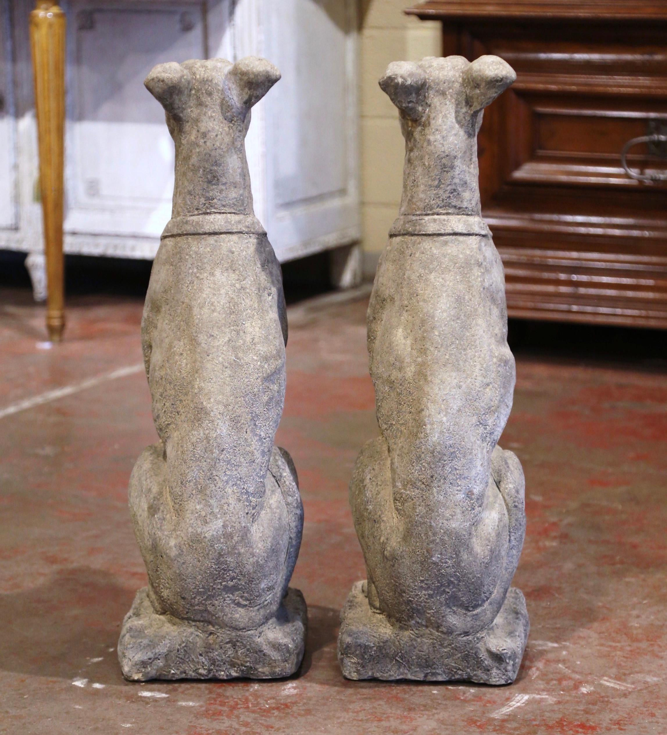 Pair of Vintage French Outdoor Weathered Carved Stone Greyhound Dog Sculptures 1