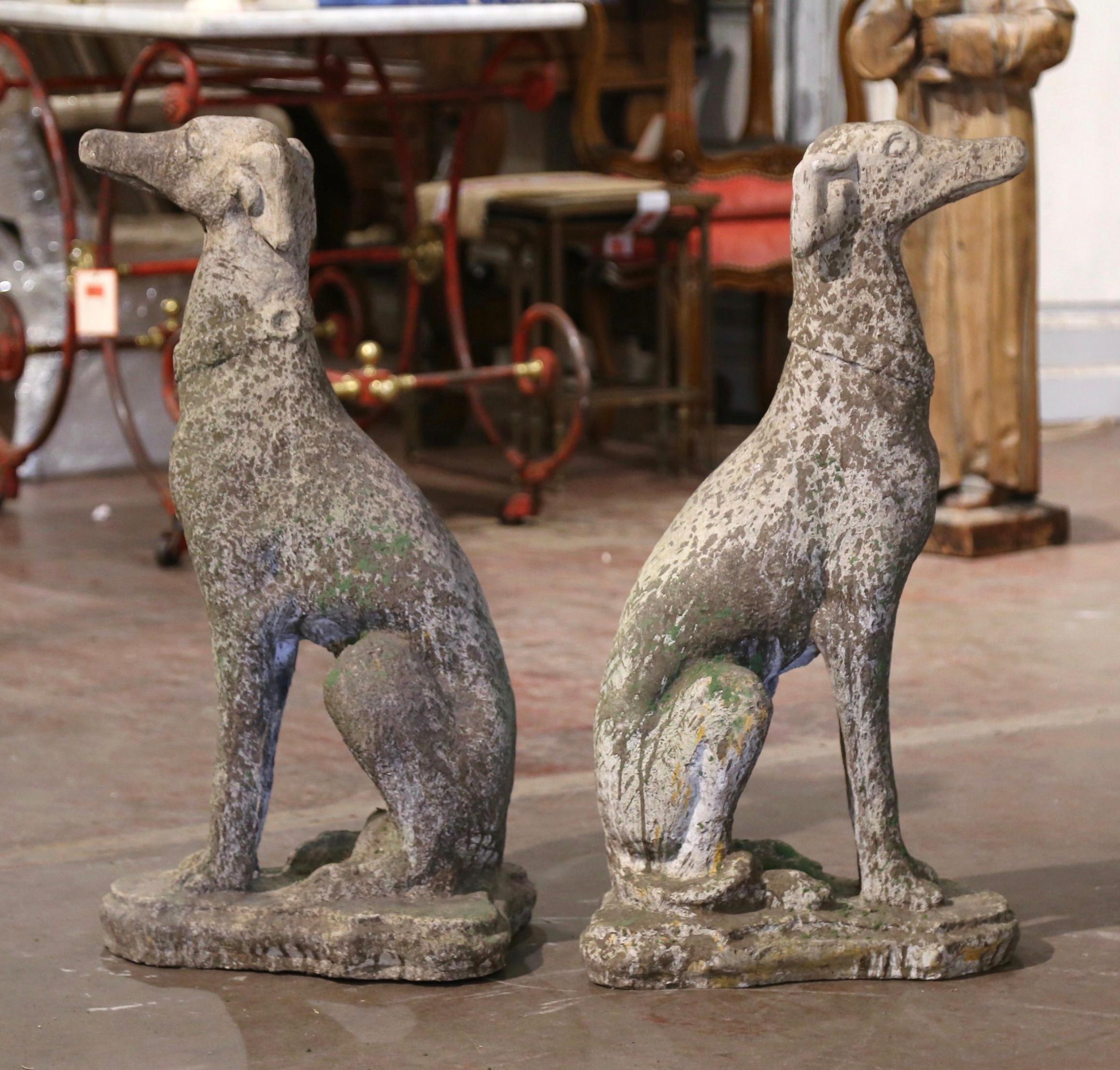 Cast Stone Pair of Vintage French Outdoor Weathered Carved Stone Greyhound Dog Sculptures