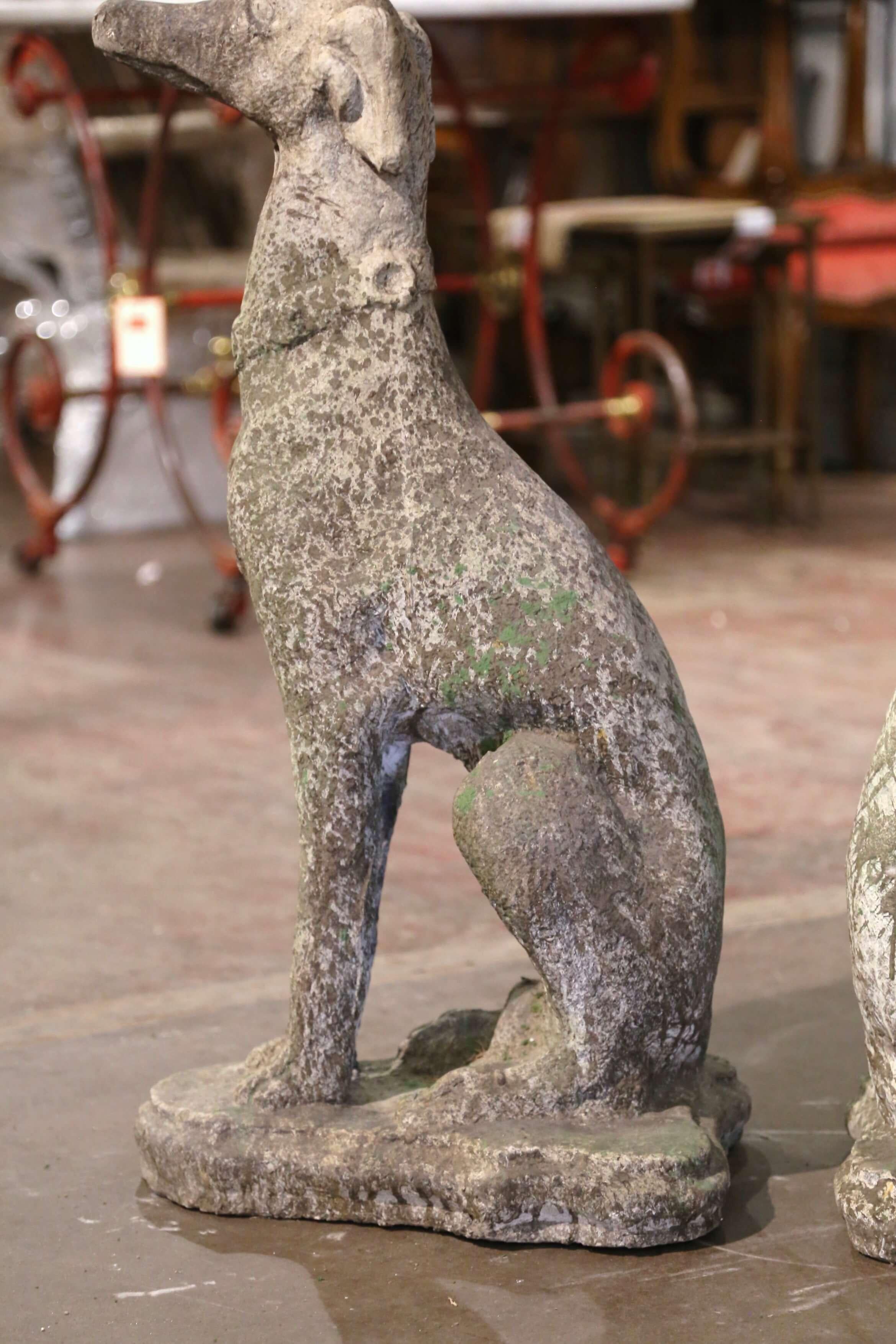 Pair of Vintage French Outdoor Weathered Carved Stone Greyhound Dog Sculptures For Sale 2