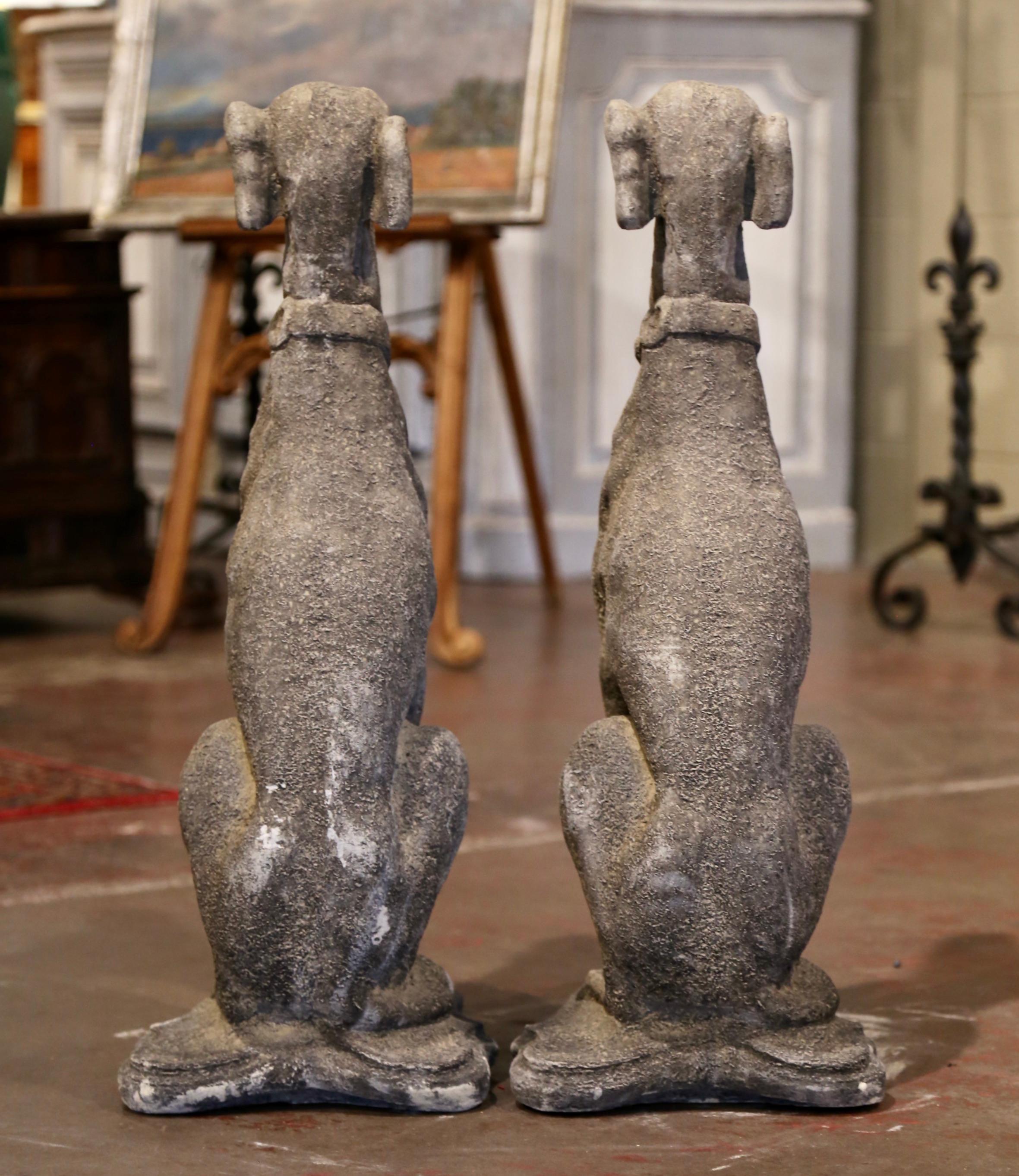 Cast Stone Pair of Vintage French Outdoor Weathered Carved Stone Greyhound Dog Sculptures