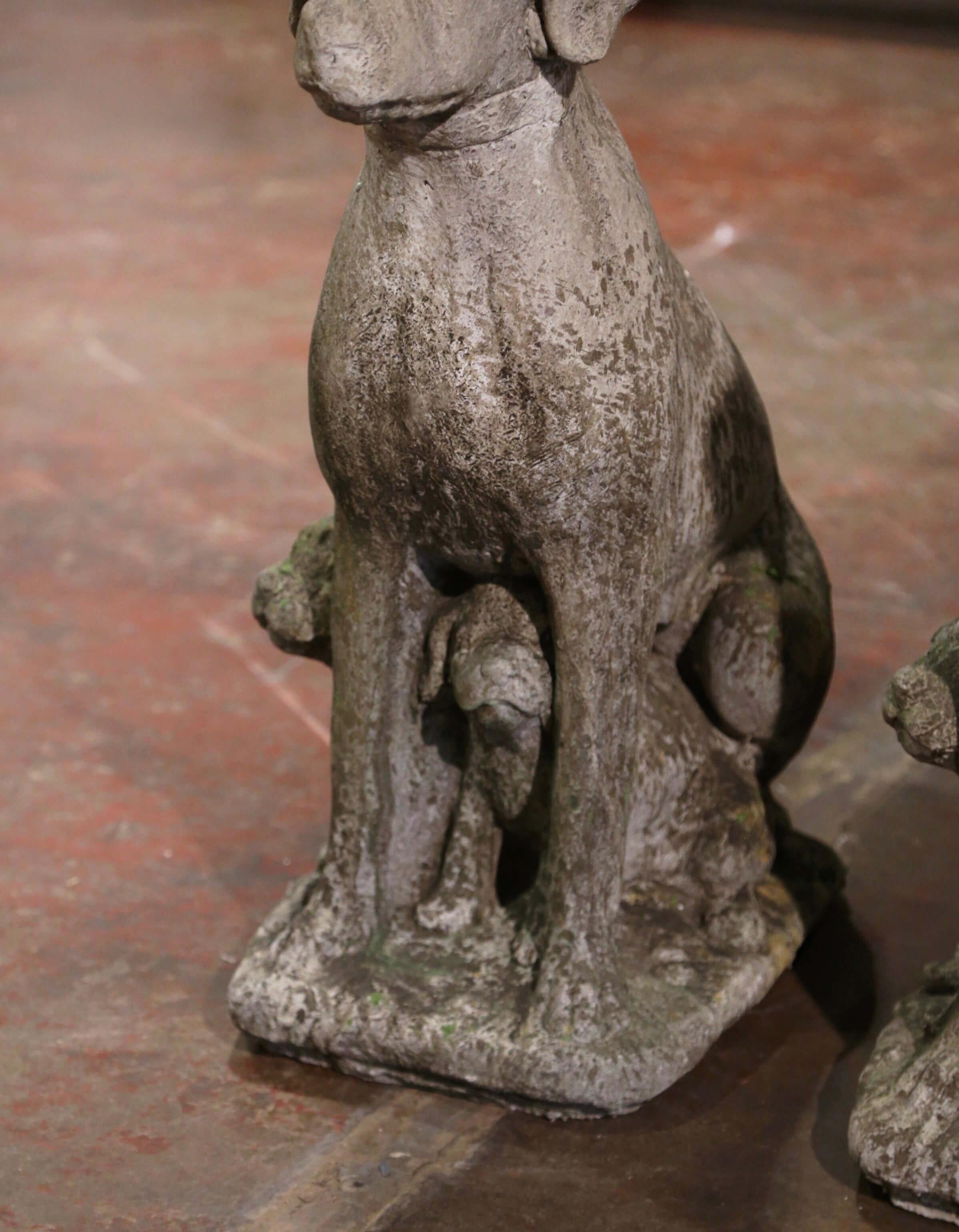 Pareja de esculturas francesas vintage de perro labrador y cachorro de piedra tallada a la intemperie Francés