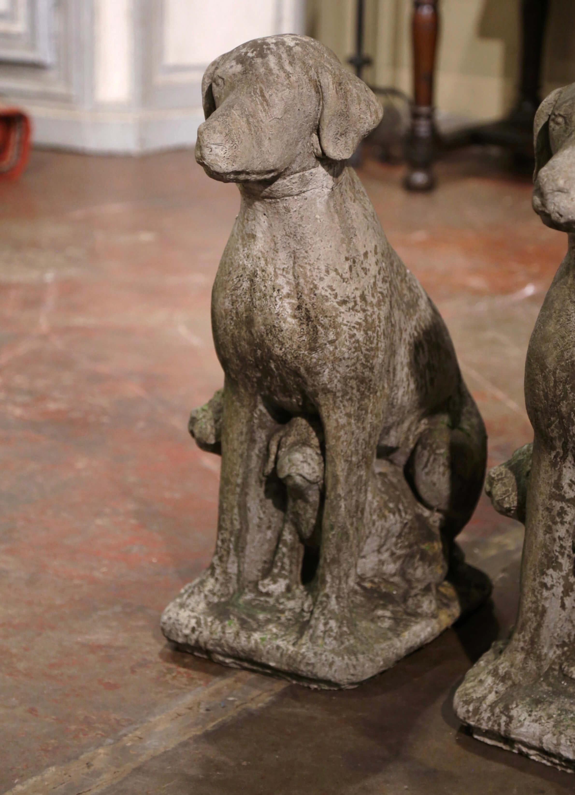 Pareja de esculturas francesas vintage de perro labrador y cachorro de piedra tallada a la intemperie Tallado a mano