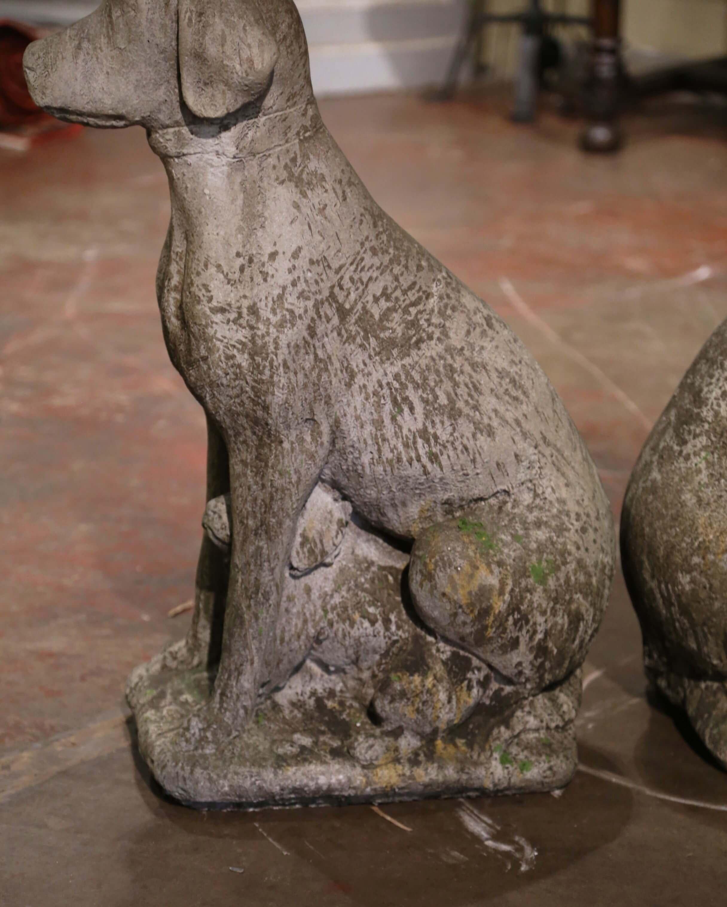 Pareja de esculturas francesas vintage de perro labrador y cachorro de piedra tallada a la intemperie 2