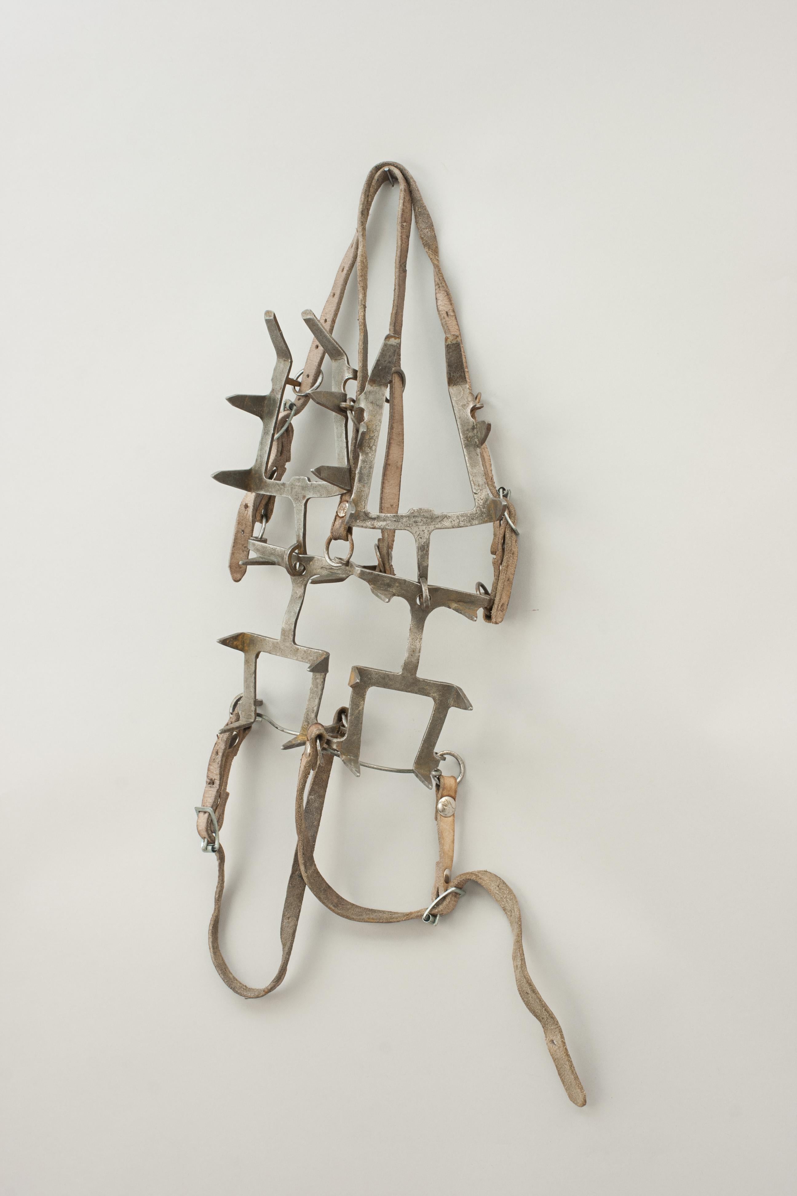 Antique mountain climbing crampons.
A pair of Grivel 12 point iron crampons in the design of Oscar Eckenstein (1859 -1921). Eckenstein was a passionate climber and innovator. He developed this type of hinged crampons in 1908 and two years later,