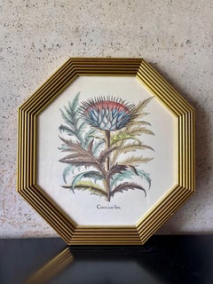 Pair of Vintage Italian Botanical Prints in Gilt Octagonal Frames, Made in Italy