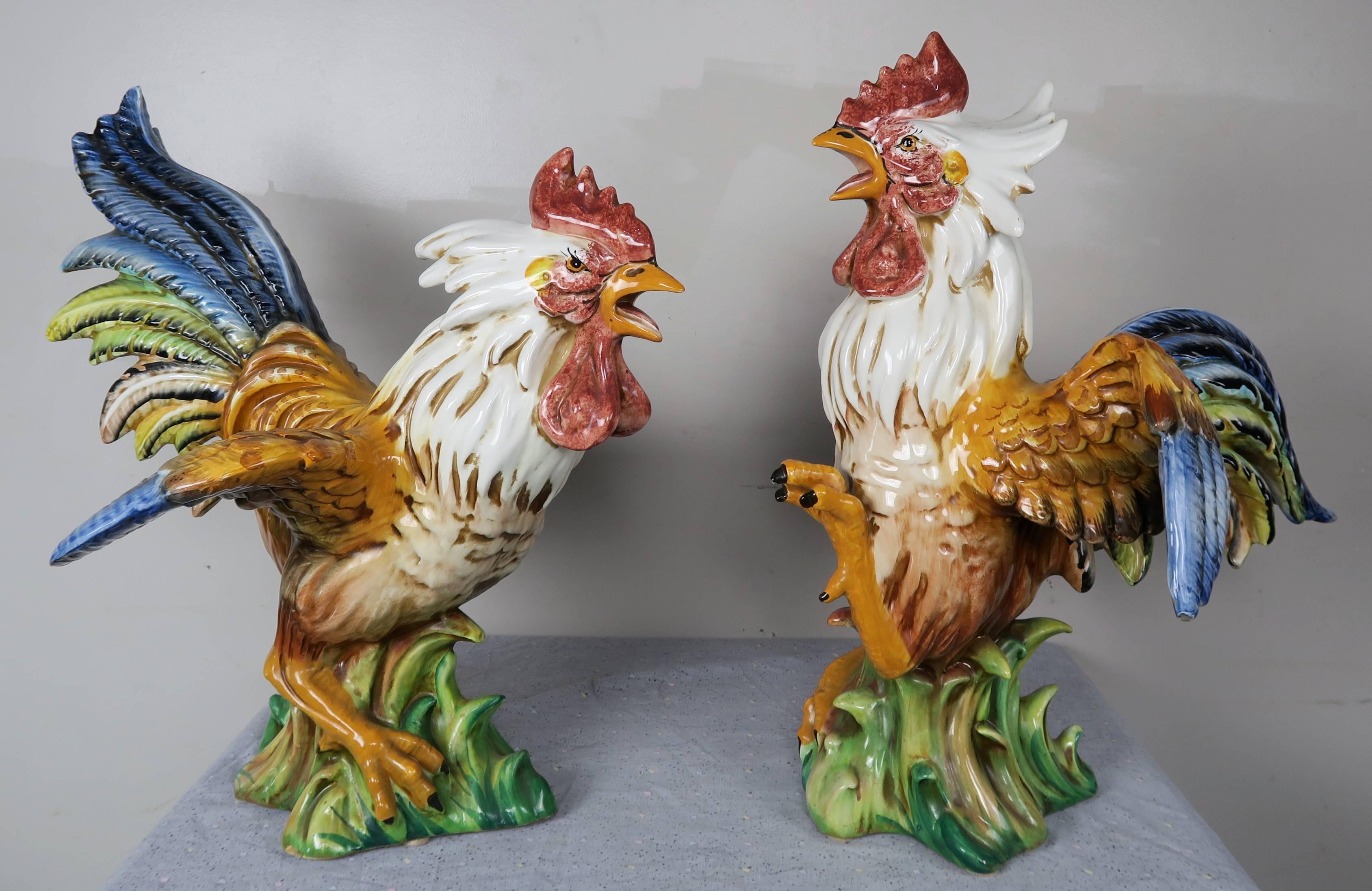 italian roosters