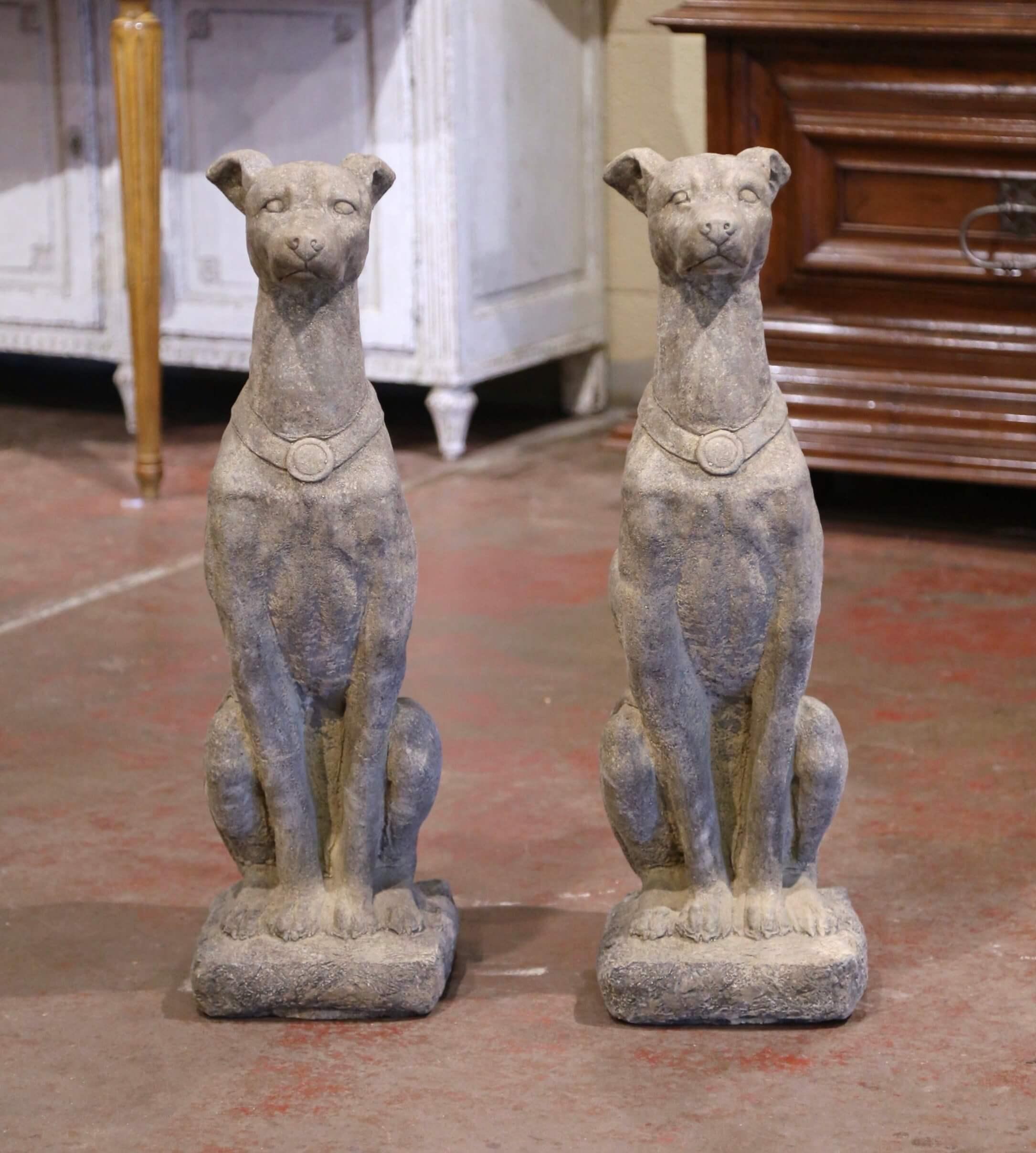 Carved of stone circa 1970, the tall vintage greyhounds are set on a flat carved, rectangular base; seated on their back legs, both dogs have a proud expression further embellished with a collar around their neck. The garden sculpted canines have a