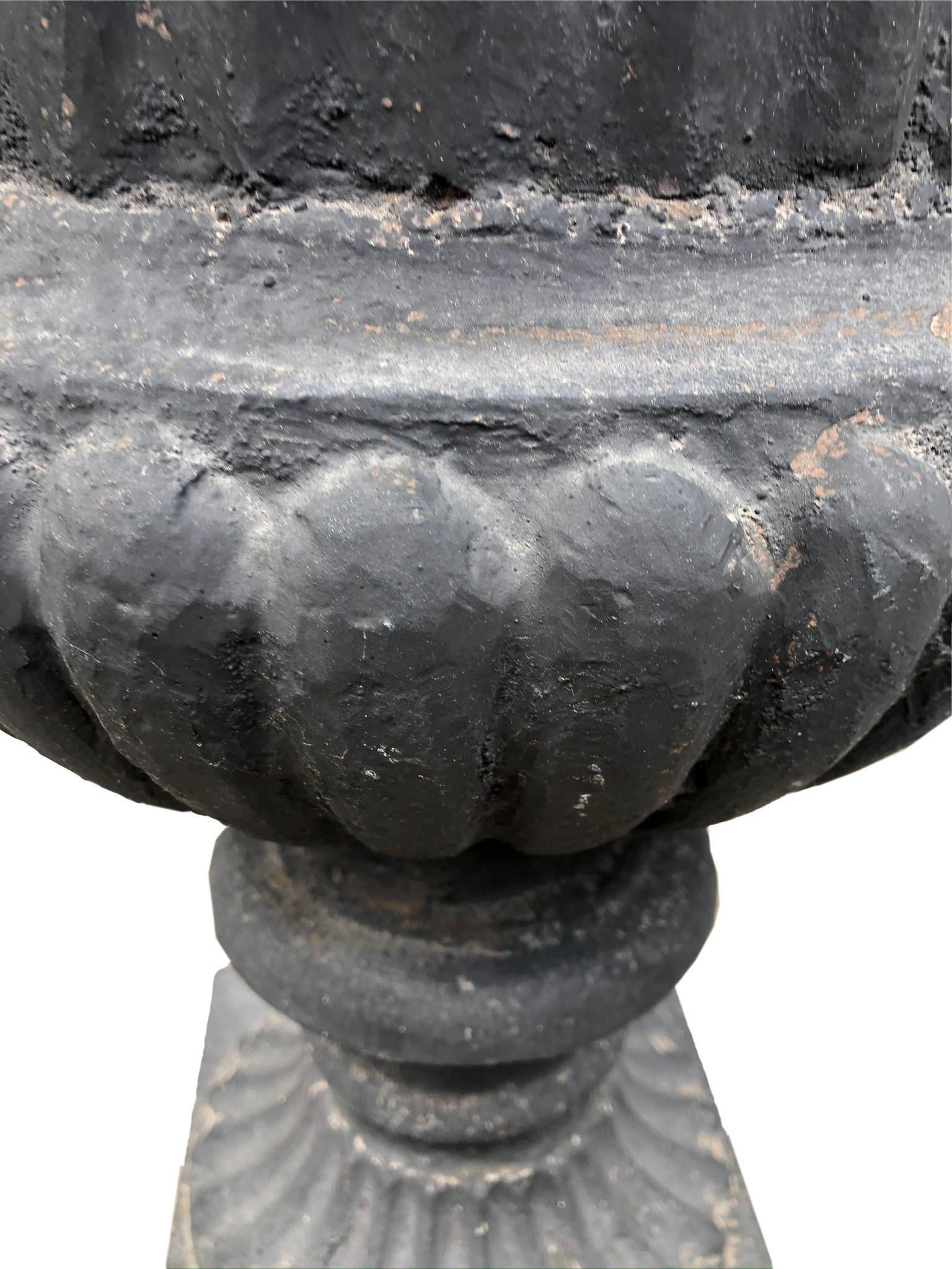 black metal urn planter