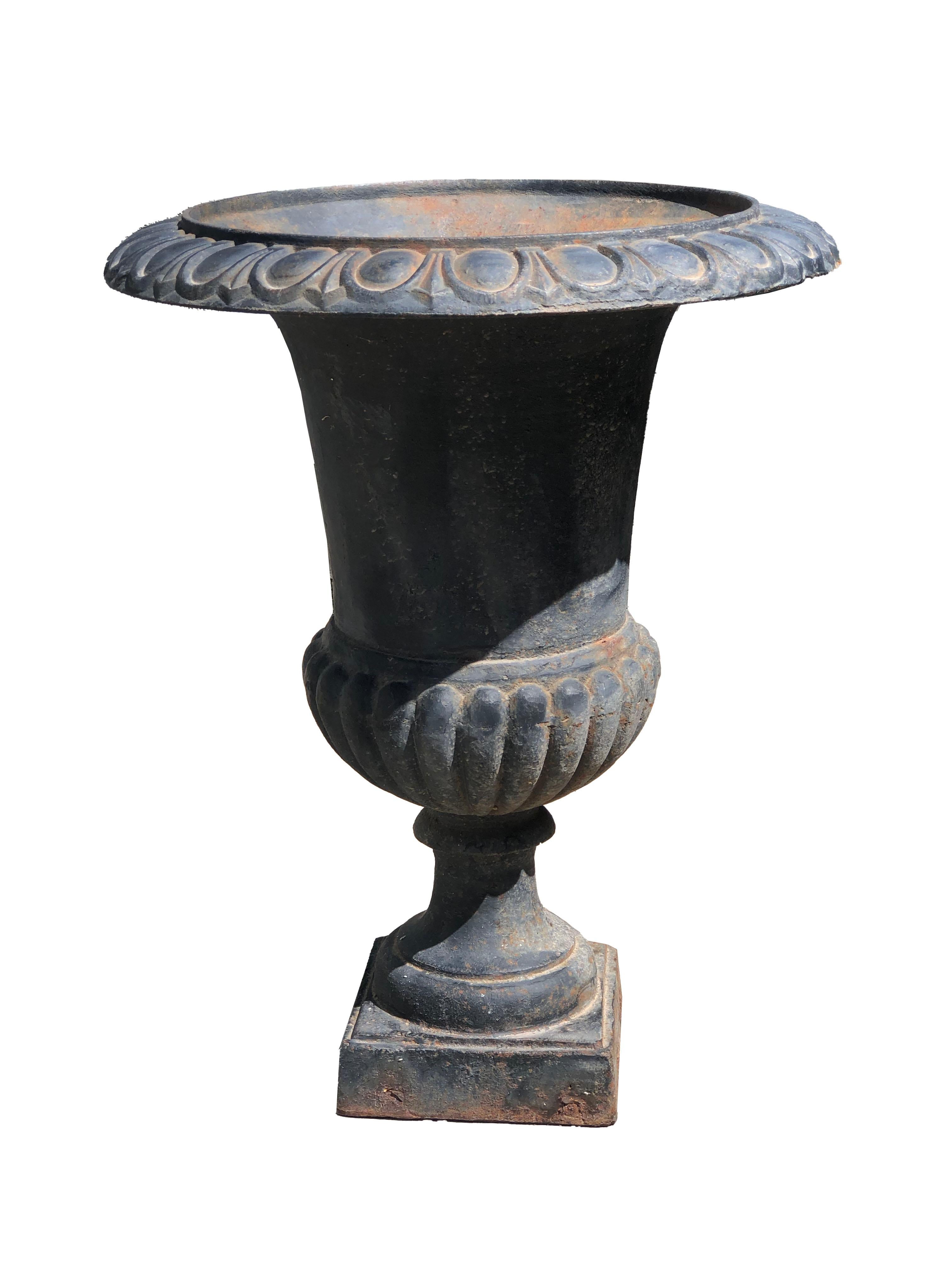 A pair of neoclassical style cast iron planters or jardinieres with black finish.