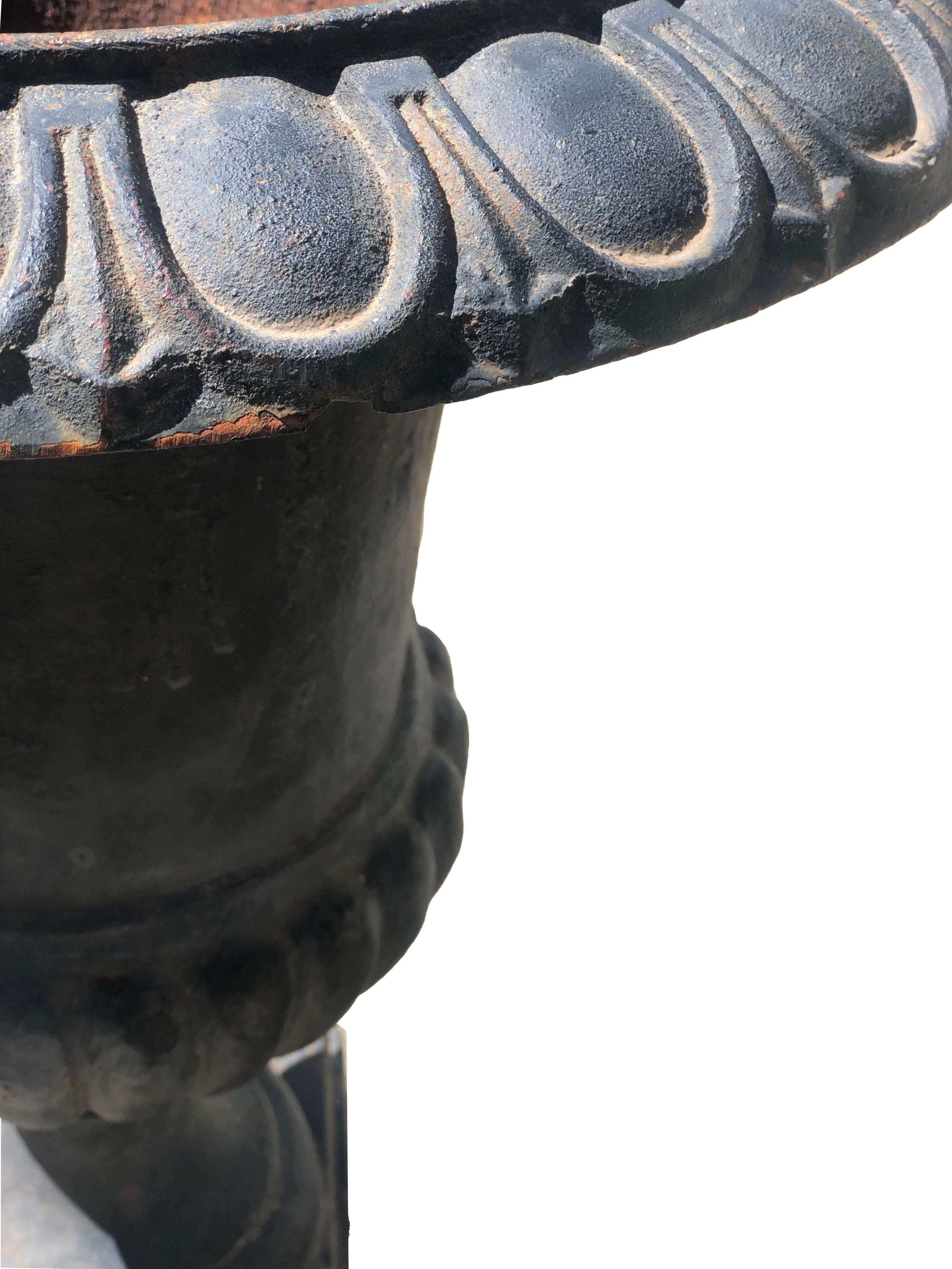 black iron planters