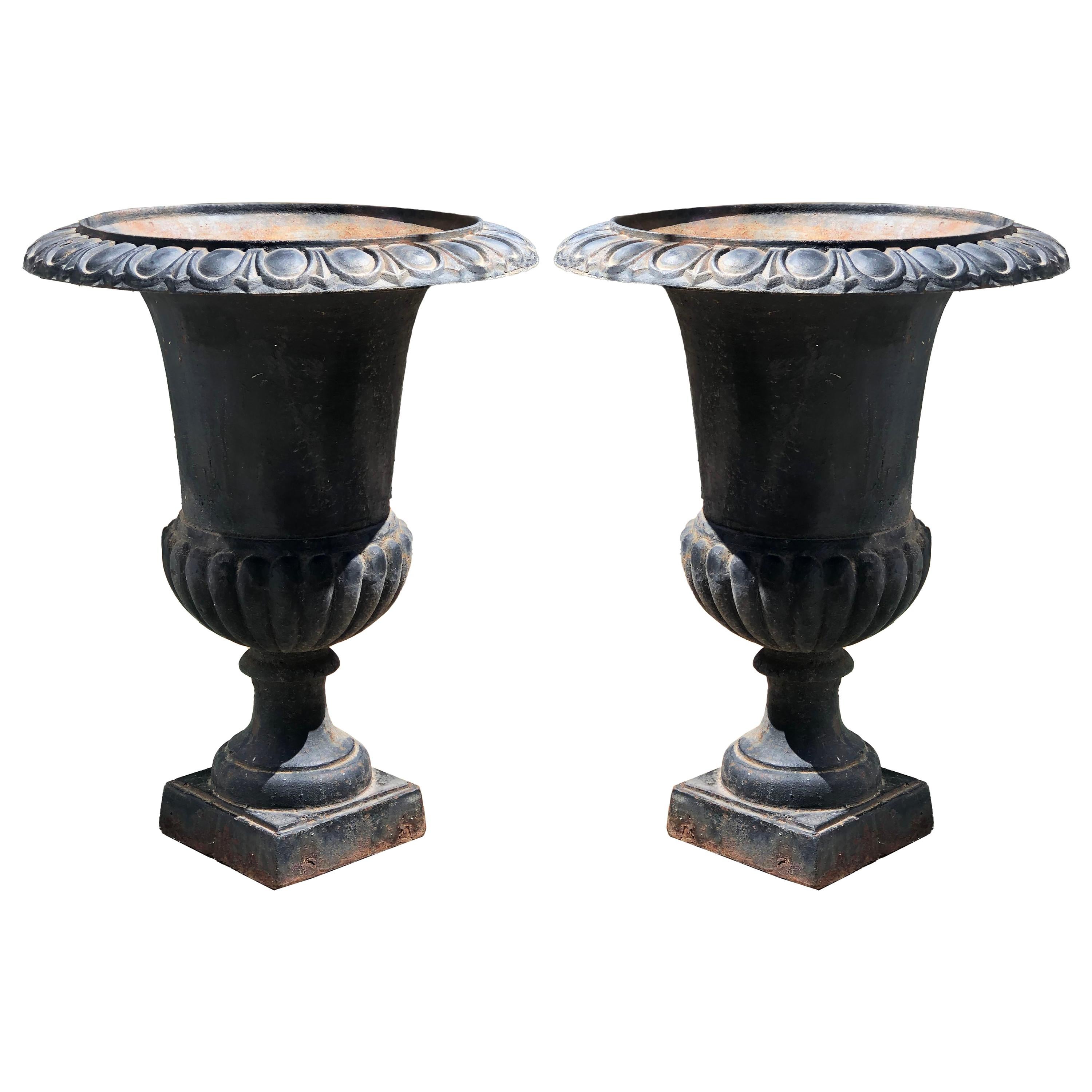 Pair of Vintage Large Black Cast Iron Neoclassical Urn Planters