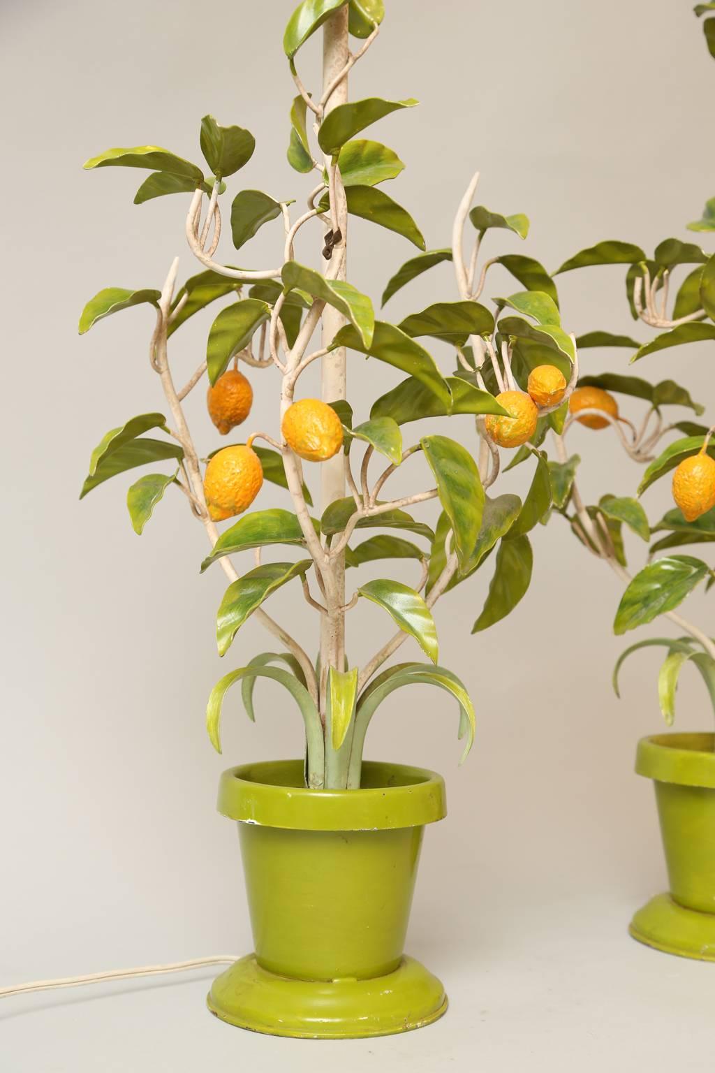 Pair of table lamps, of polychromed metal, each formed as a potted lemon topiary tree.

Stock ID: D1222.