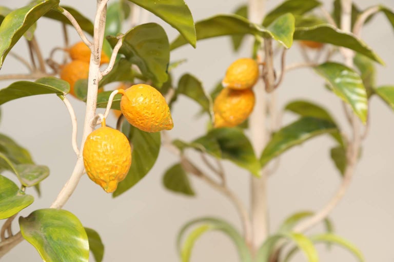 Pair of Vintage Lemon Tree Lamps at 1stDibs lemon lamp