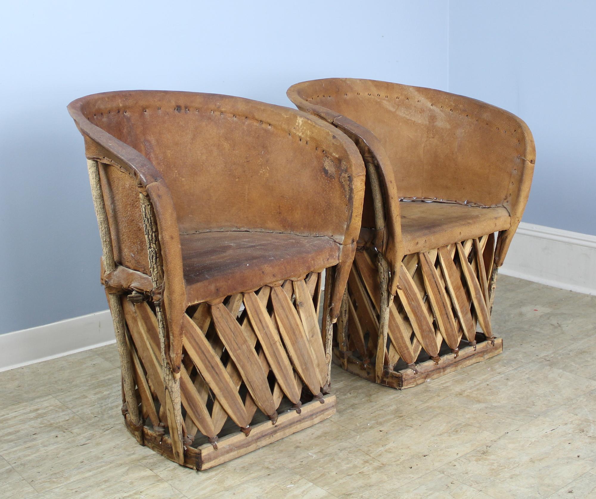 A cool pair of vintage Mexican armchairs, made in the traditional way with stretched pig skin and cedar strips. Natural branch supports complete the look. Note: There is a slight variation in chair width and seat height between the two chairs, but