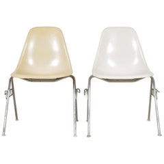 Pair of Vintage Mid Century Eames for Herman Miller DSS Fiberglass Shell Chairs
