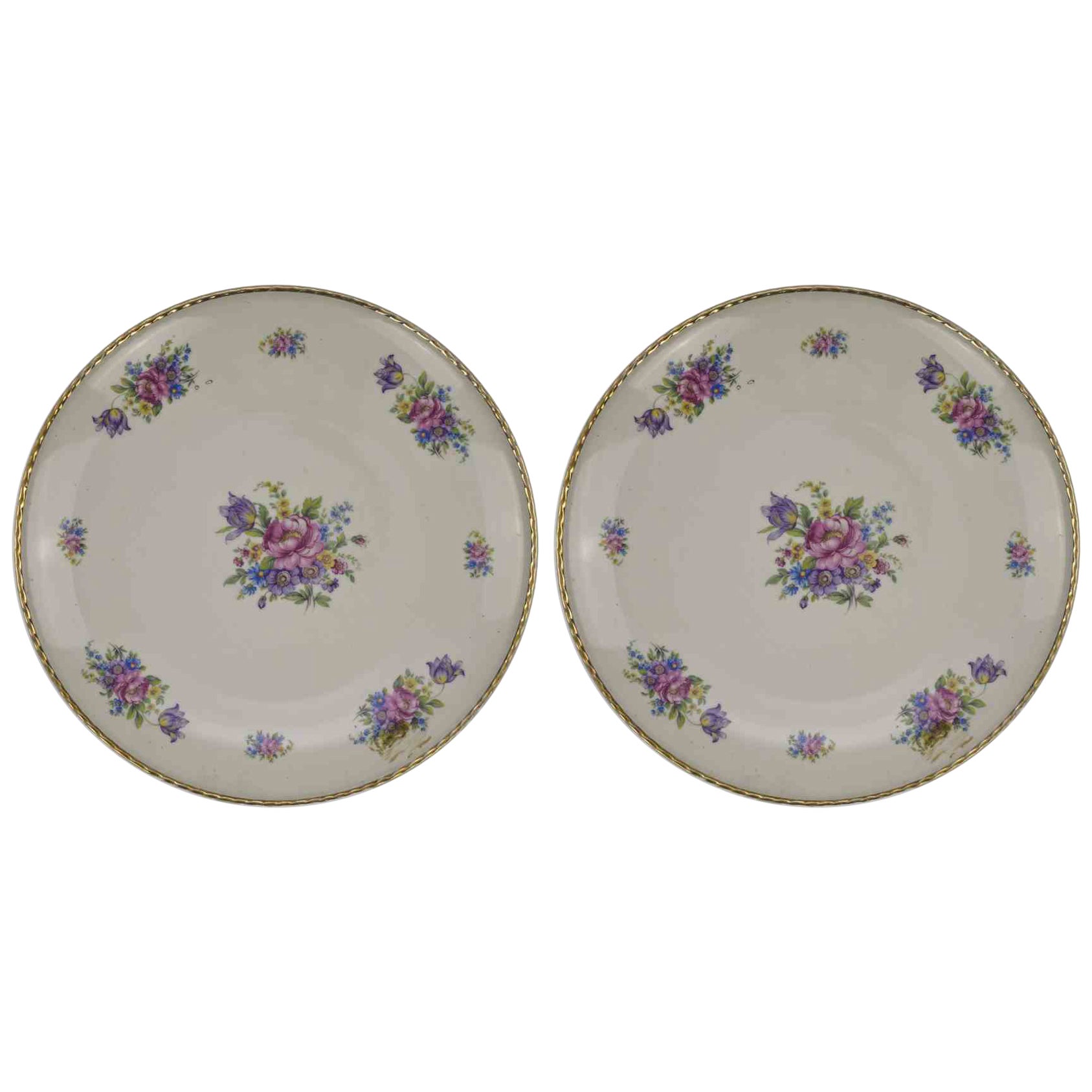 Pair of Vintage Plates by Winterling Bavaria, 1960s