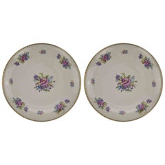 Pair of Vintage Plates by Winterling Bavaria, 1960s