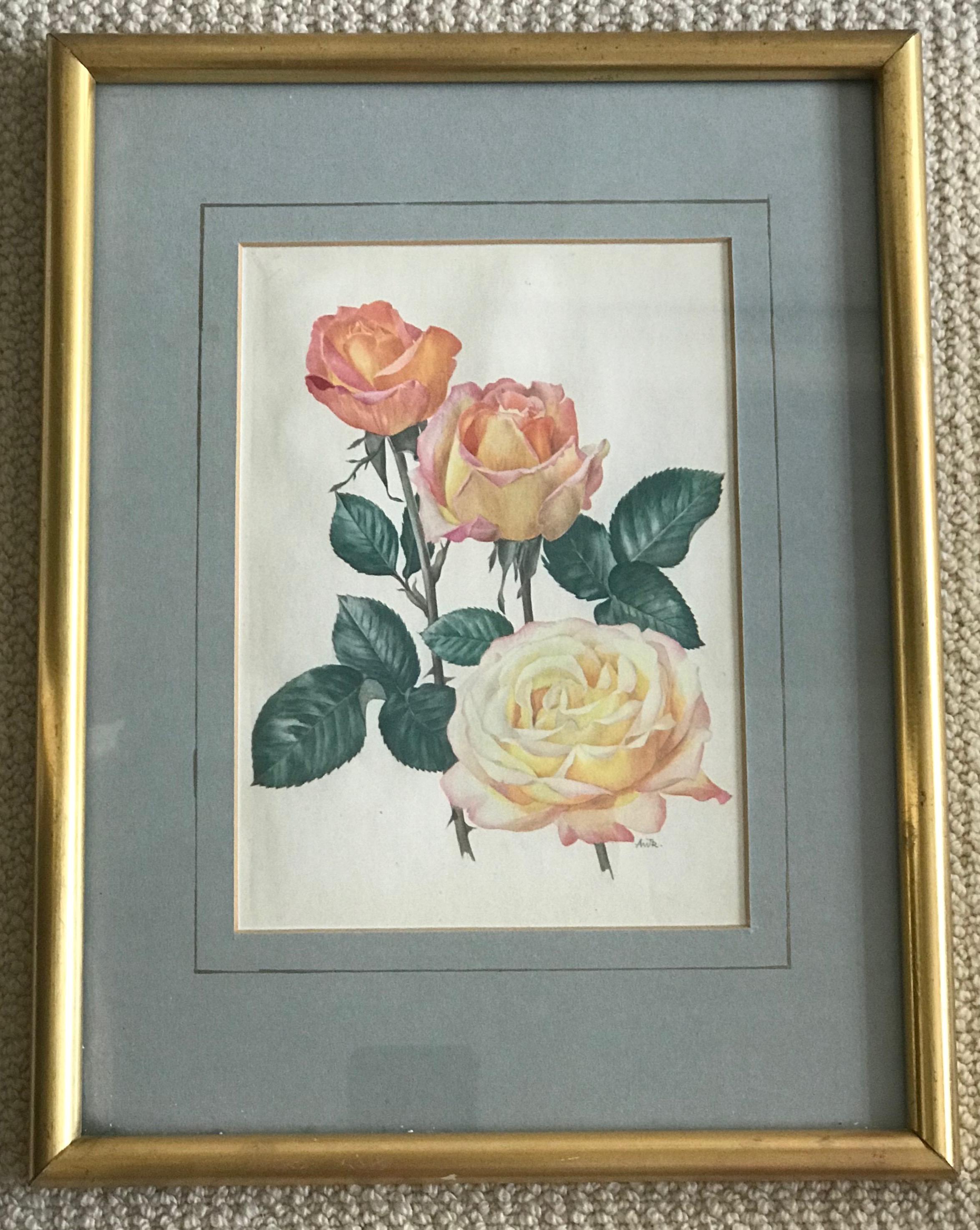 This pair of rose prints features golden frames. The frames contain additional information about the cultural background of the motives as can be seen in the photos.

Christian Dior (Hybrid Tea, Meilland 1958)
This was La Plus Belle Rose de