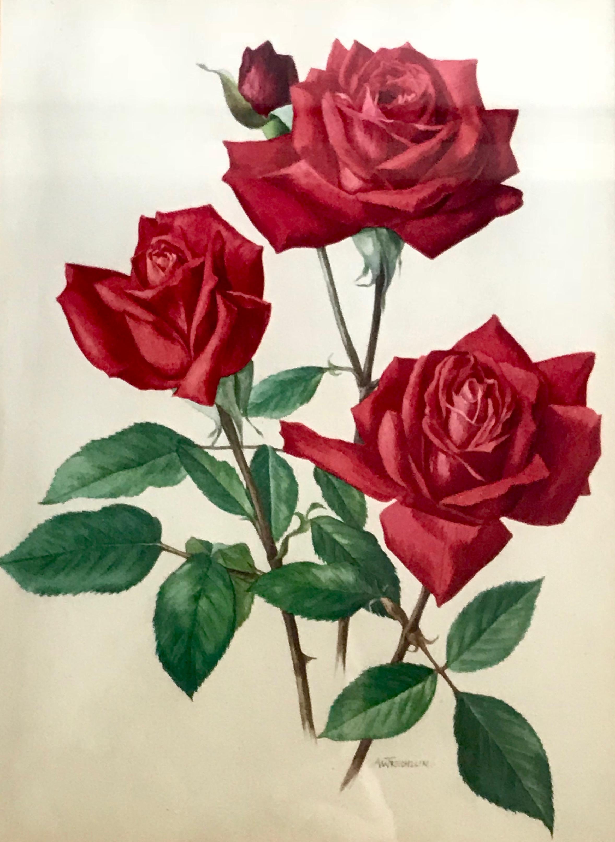 Other Pair Of Vintage Rose Flower Prints For Sale