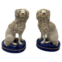 Pair of Vintage Staffordshire Poodles , Circa 1960's