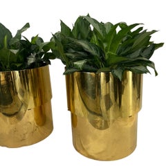 Coppia di grandi fioriere in ottone vintage Steve Chase