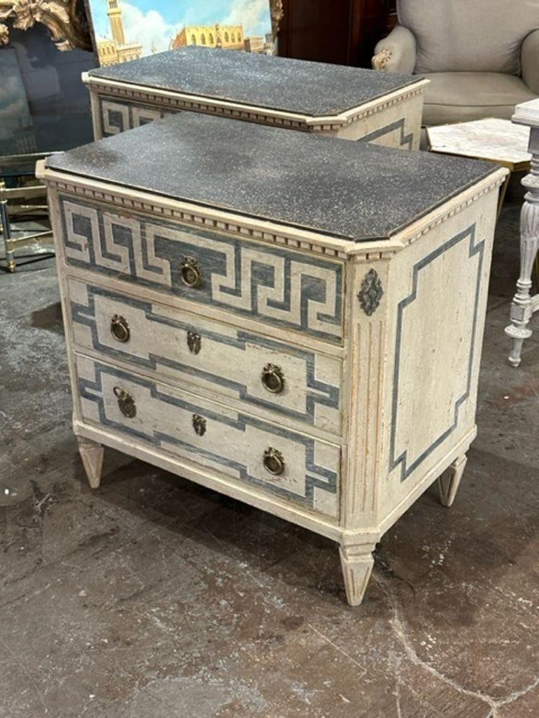 Pair of Vintage Swedish Neo-Classical Chests For Sale 5