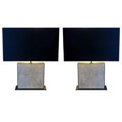 Coppia di lampade da tavolo vintage in ottone antico e zigrino