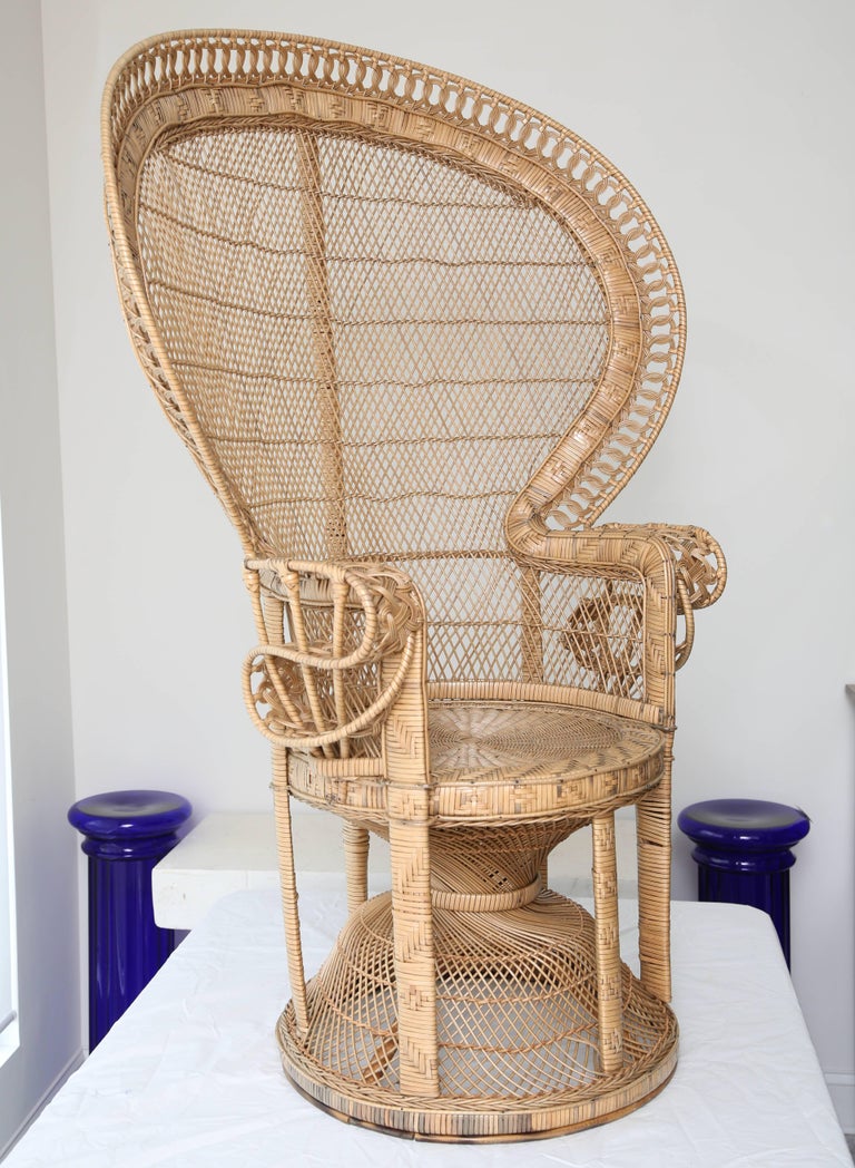 Pair of Vintage Wicker Peacock Chairs at 1stDibs