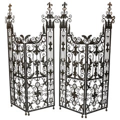 Pair of Vintage Wrought Iron Filigree Gates