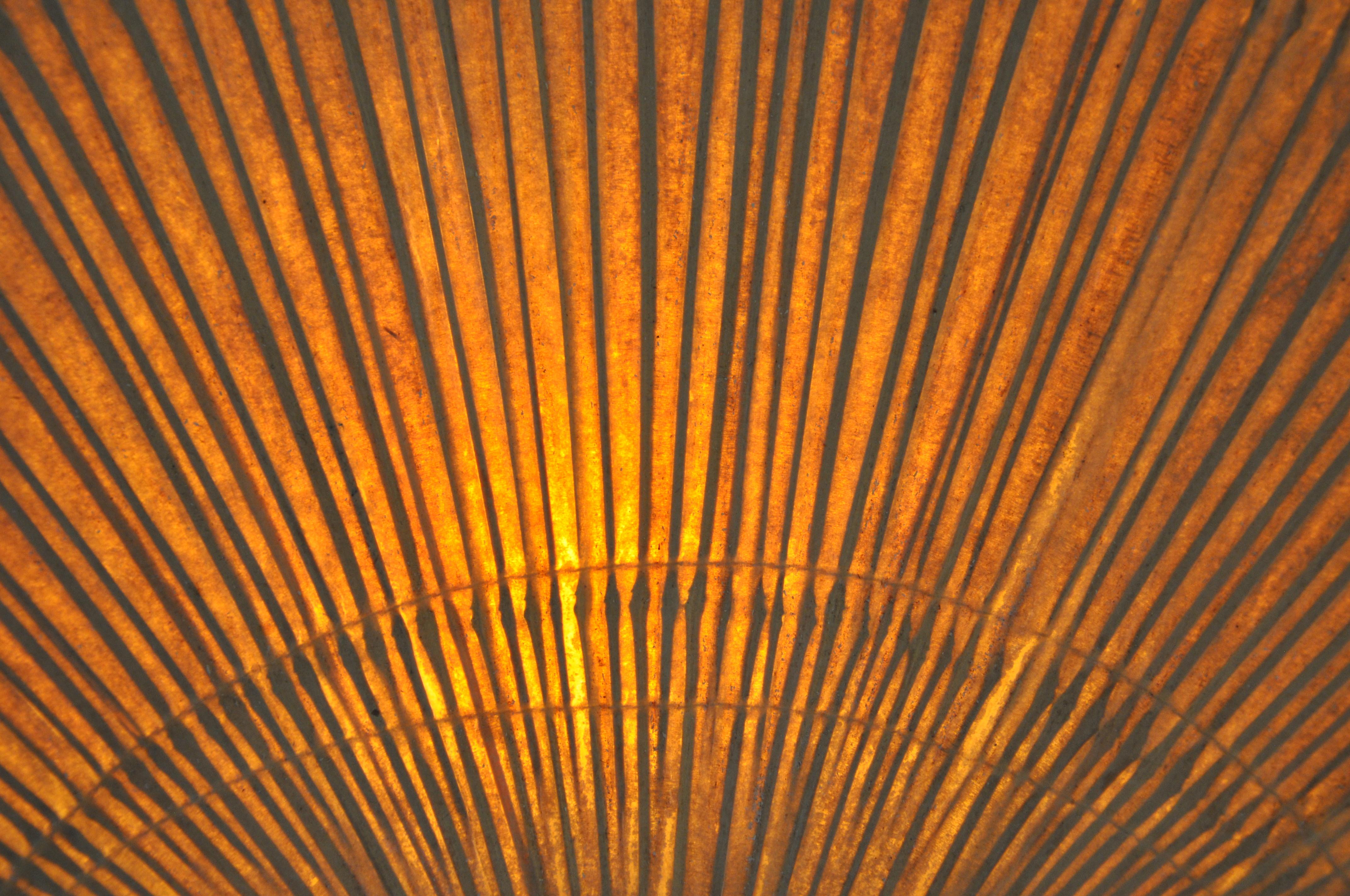 Pair of Wall Lamps 