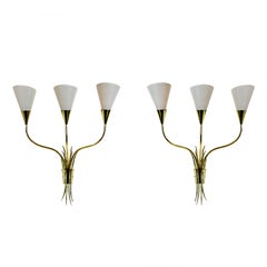 Pair of Mid-Century Modern Wall Lights With Celluloid Lampshades - France