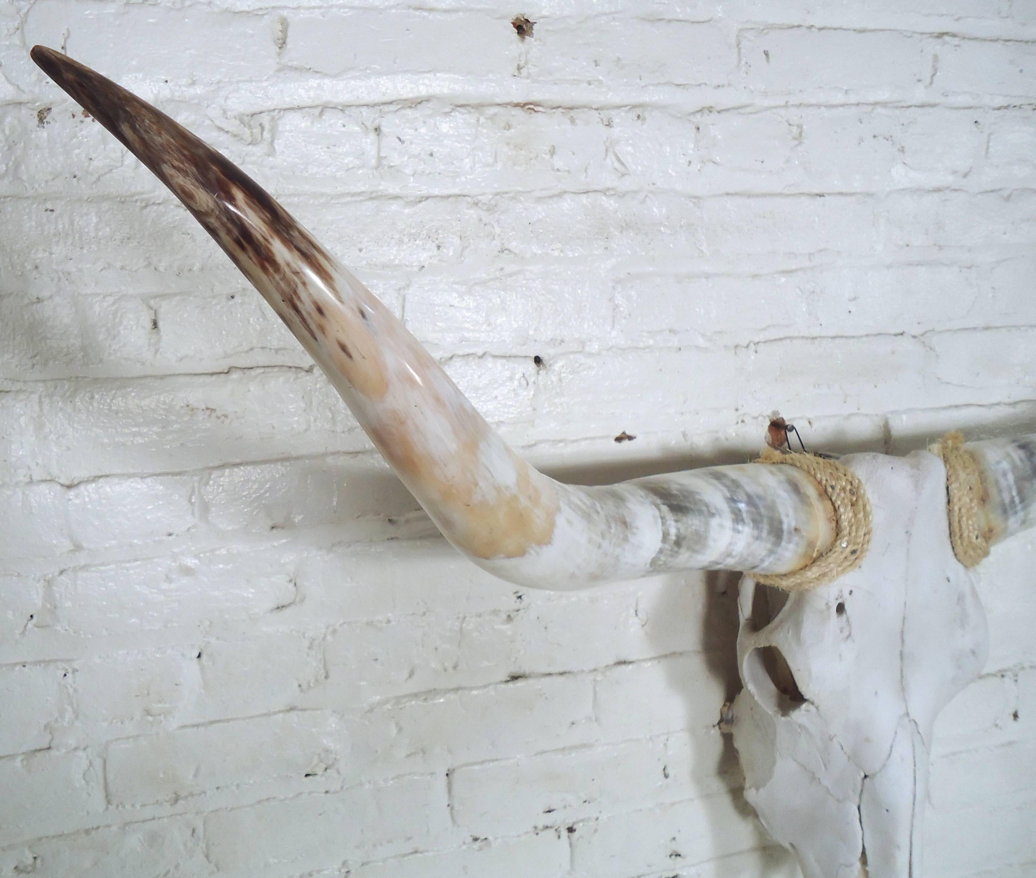 Pair of Wall Mounted Steer Horns In Good Condition In Brooklyn, NY