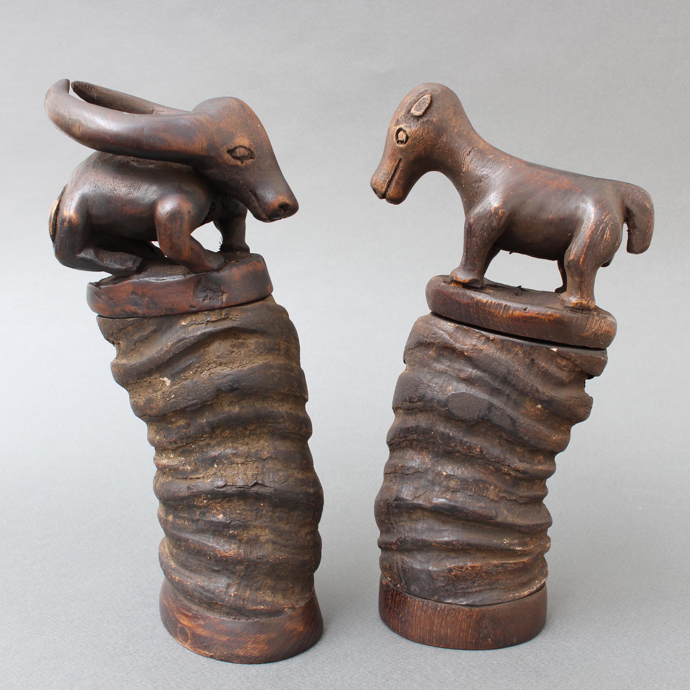 Pair of Water Buffalo Horn and Wood Lime Powder Holders for Betel Nut from Timor For Sale 1