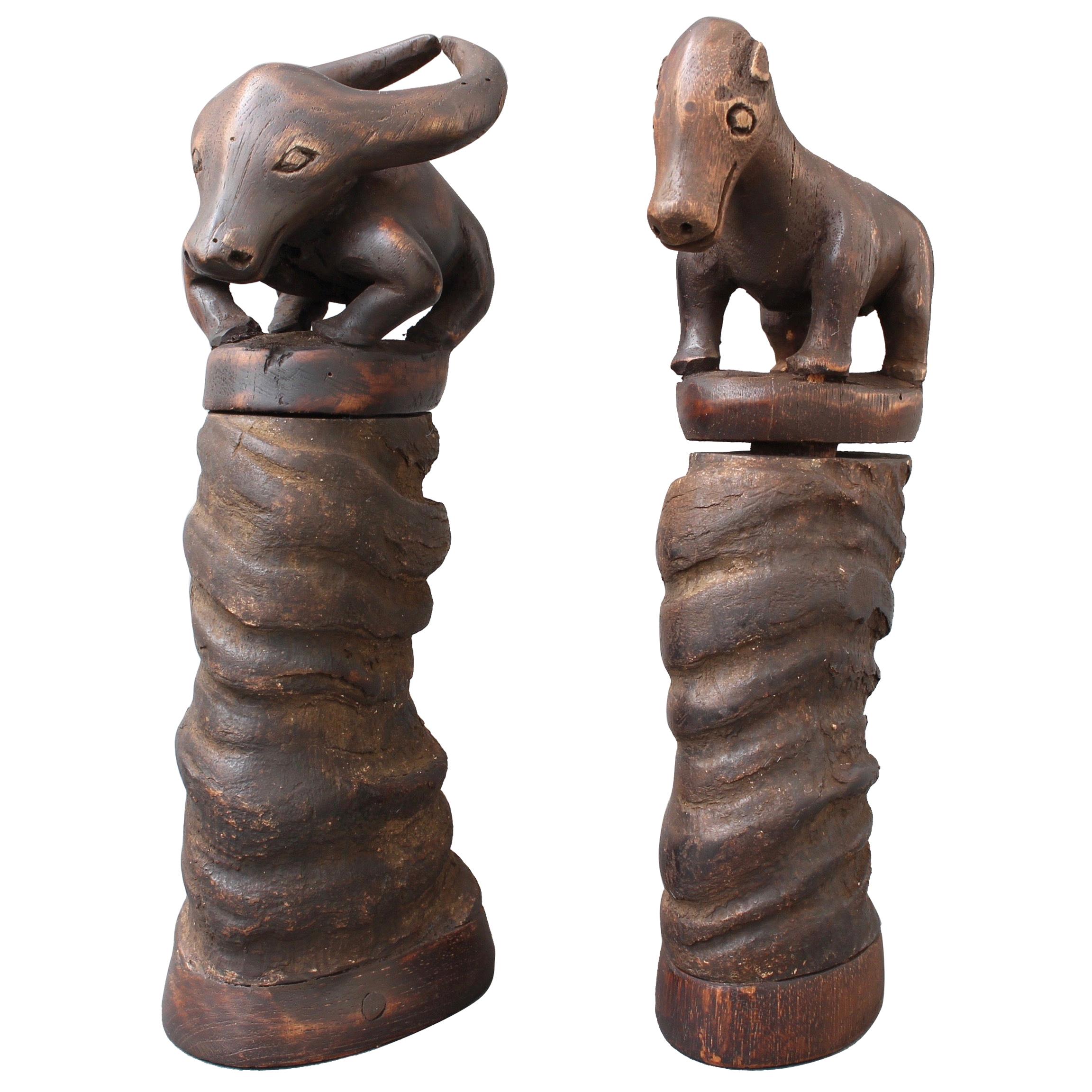 Pair of Water Buffalo Horn and Wood Lime Powder Holders for Betel Nut from Timor