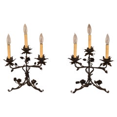 Pair of Whimsical Iron Floral Candelabra, Circa 1920