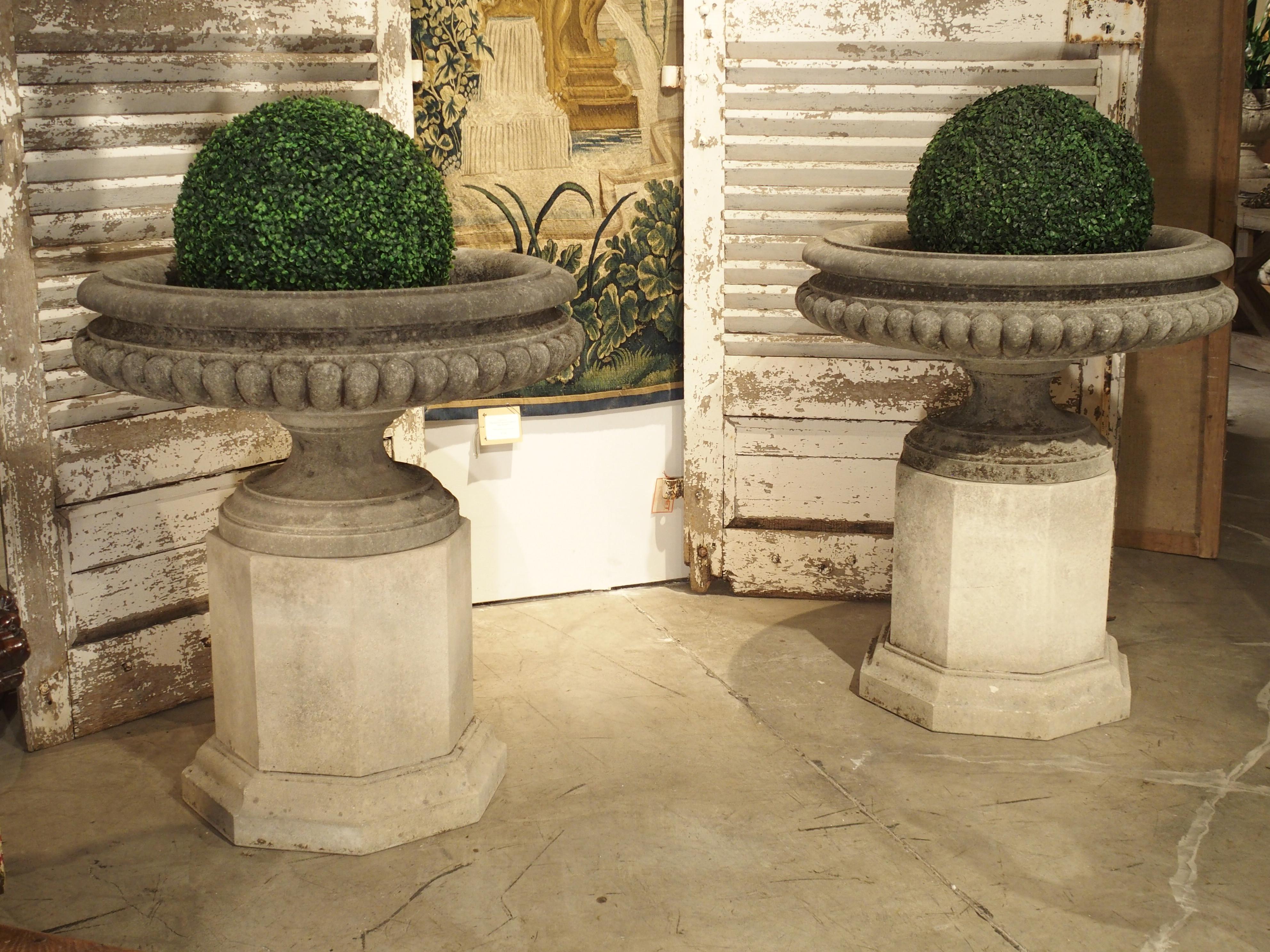 This pair of wide lobed stone urns on octagonal plinths are from Italy. Each urn was hand carved as two pieces (the upper body and the foot), with the plinth being a solid piece.

Our classic saucer-shaped tazza (Italian for “bowl”) urns have