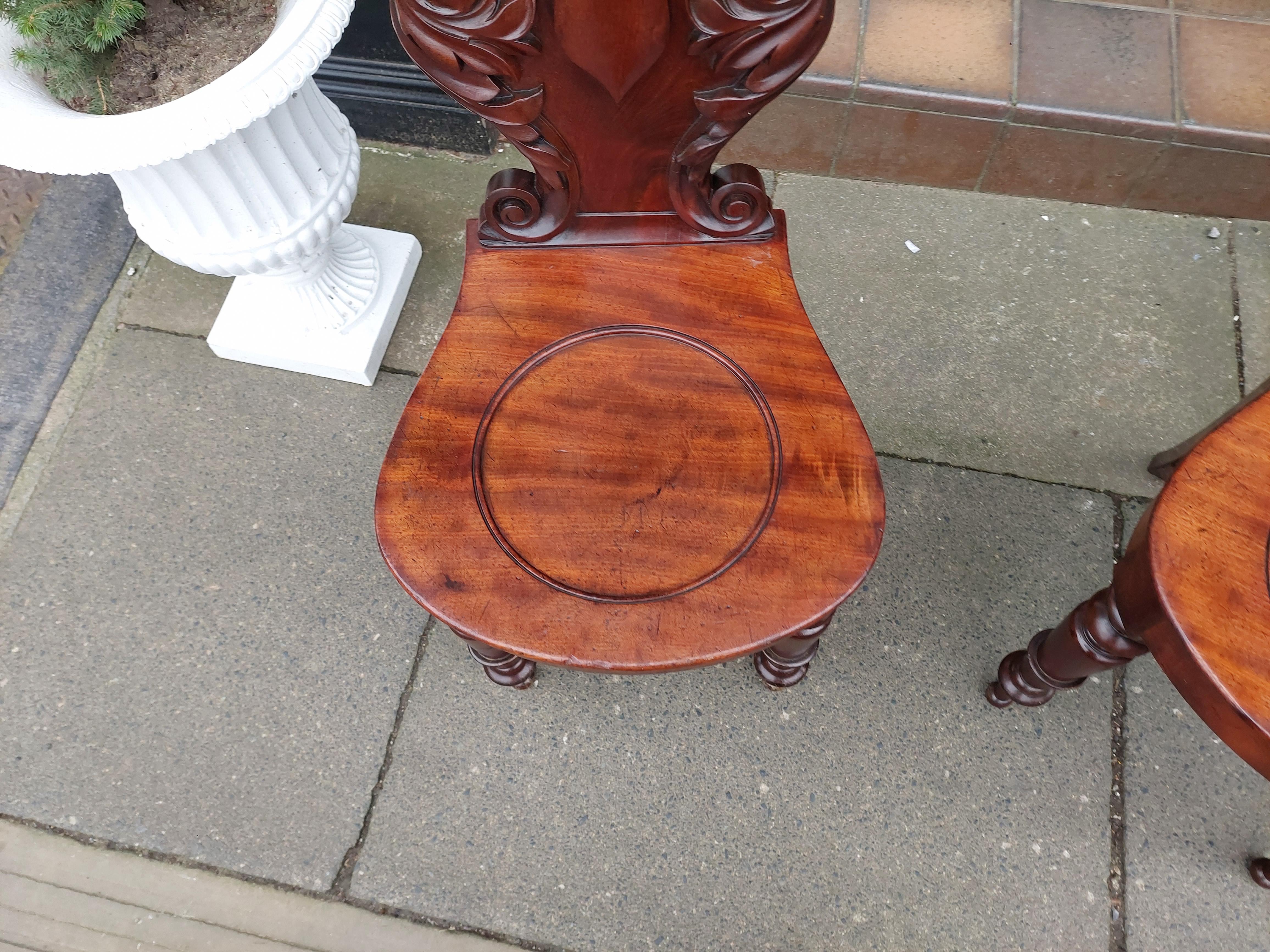 Paar William IV. Mahagoni-Hallenstühle im Zustand „Gut“ im Angebot in Altrincham, GB