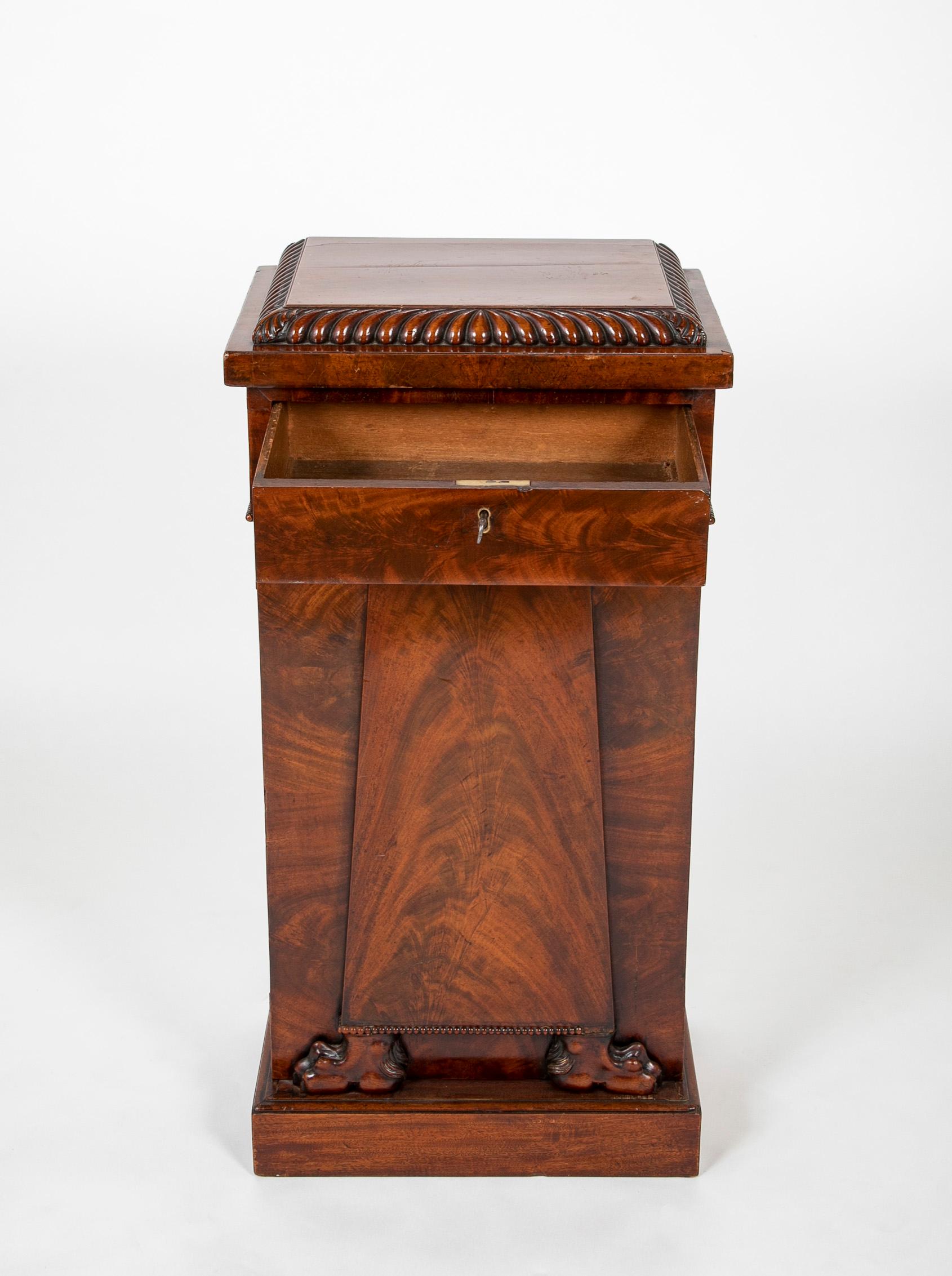 Pair of William IV Mahogany Pedestal Cabinets 6