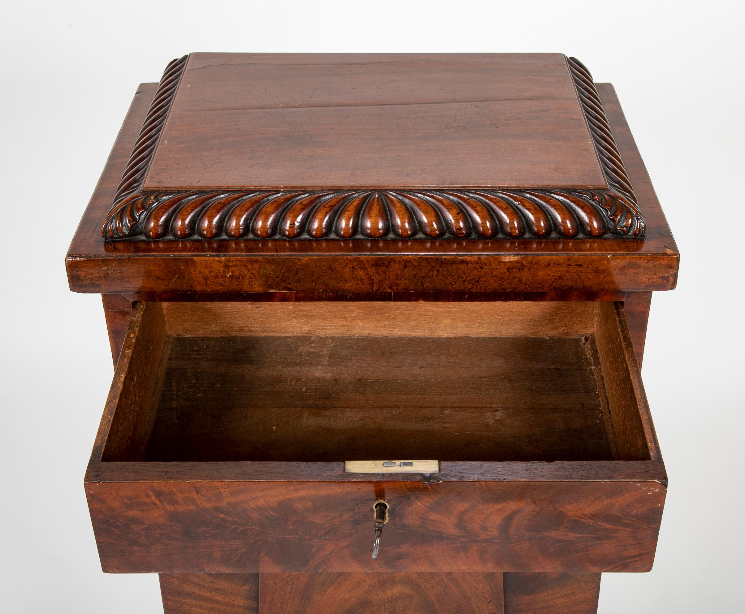 Pair of William IV Mahogany Pedestal Cabinets 7