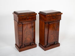 Pair of William IV Mahogany Pedestal Cabinets