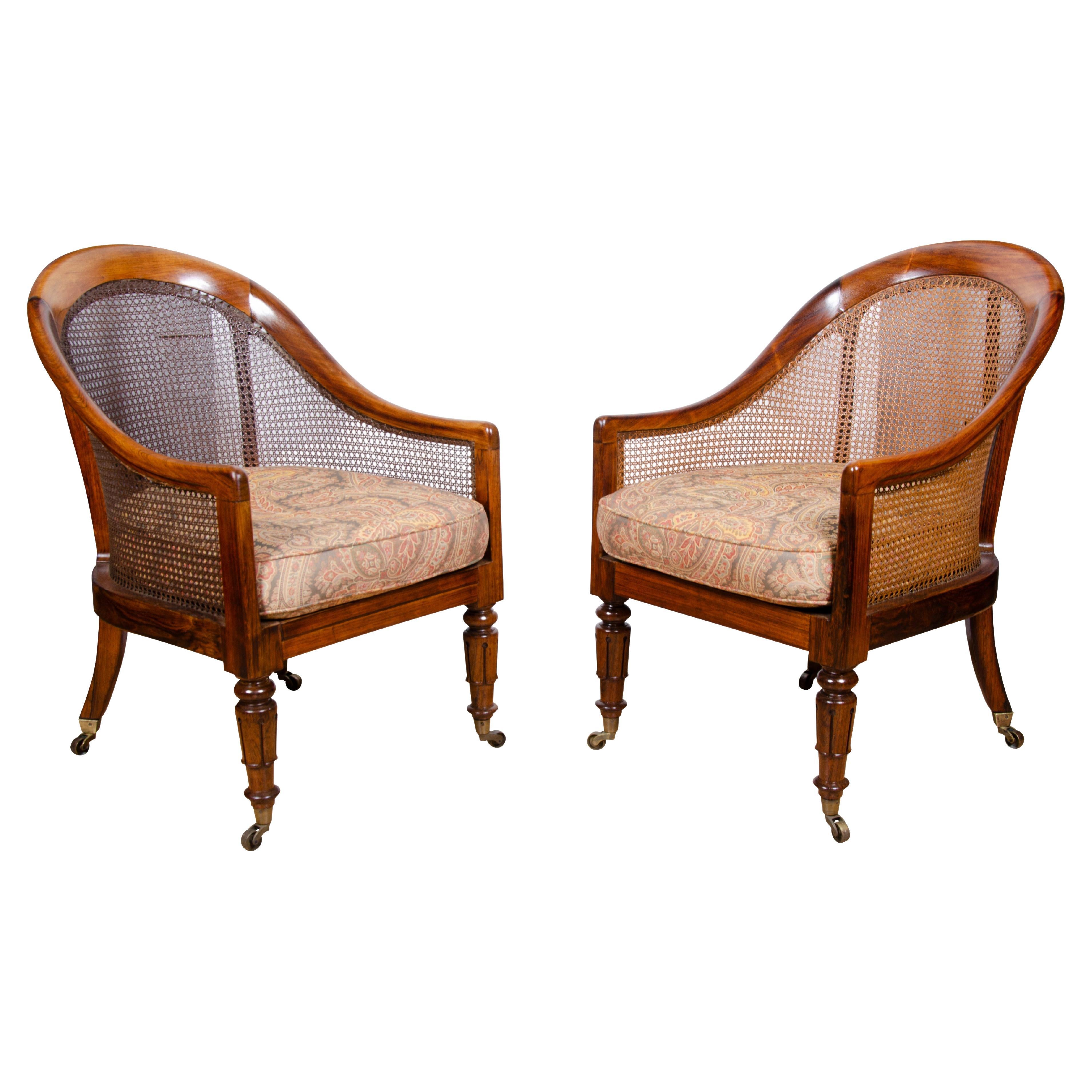 Pair of William IV Rosewood Tub Chairs