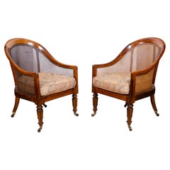 Pair of William IV Rosewood Tub Chairs