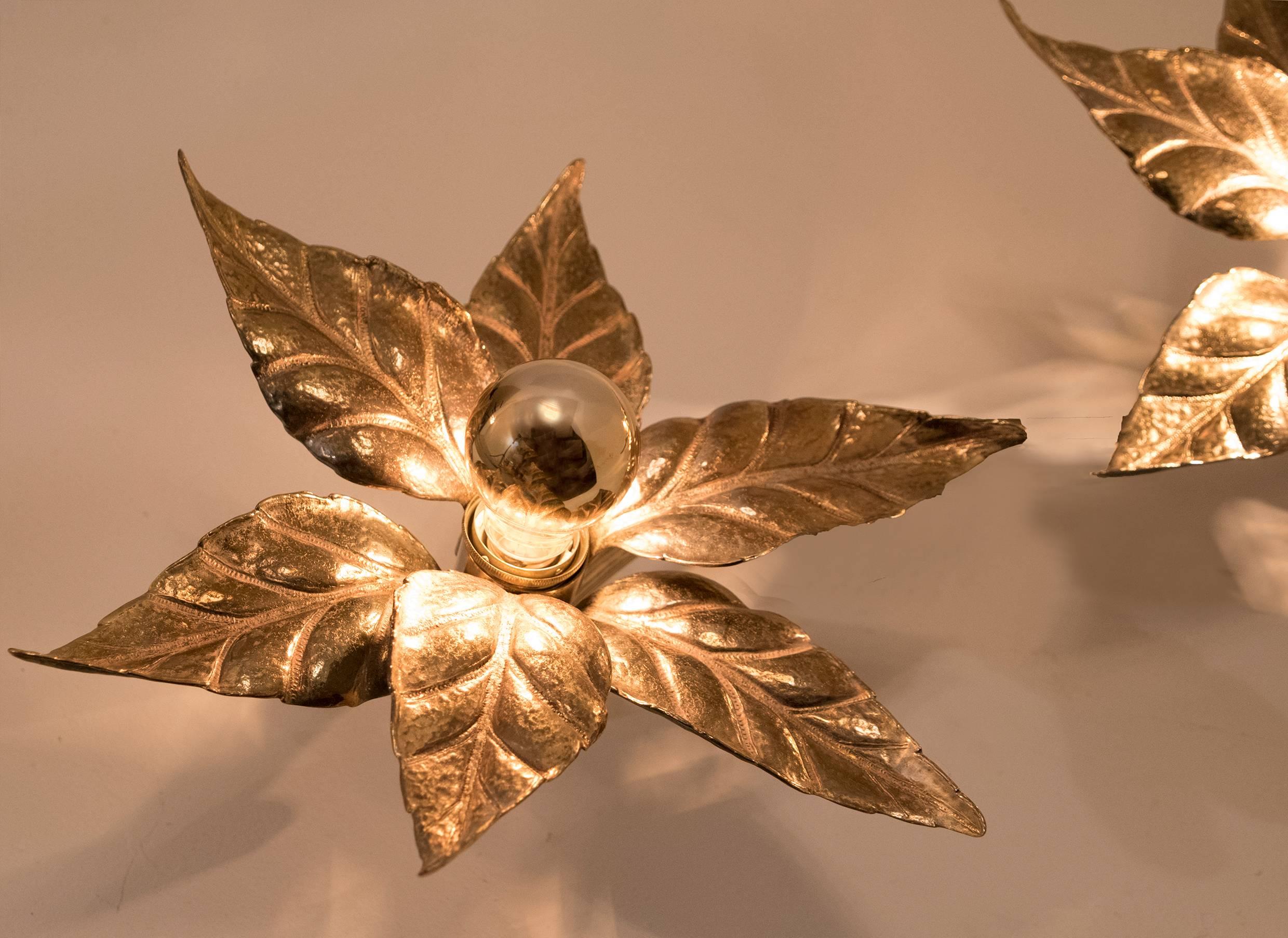 Belgian Pair of Willy Daro Style Brass Flowers Wall Lights by Massive Lighting, 1970