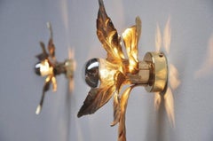 Pair of Willy Daro Style Brass Flowers Wall Lights by Massive Lighting, 1970