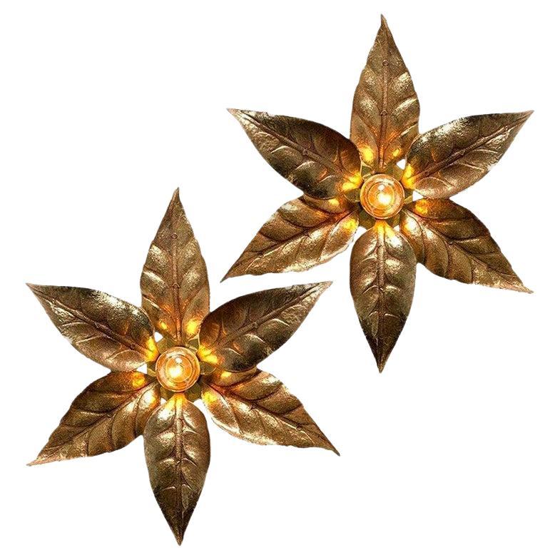 Pair of Willy Daro Style Brass Flowers Wall Lights by Massive Lighting, 1970 For Sale