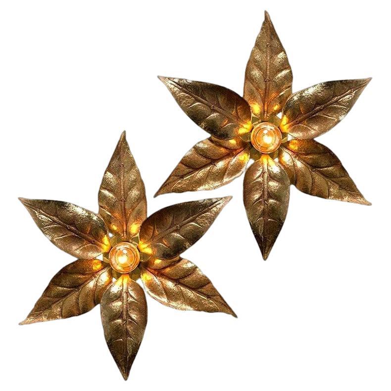 Pair of Willy Daro Style Brass Flowers Wall Lights by Massive Lighting, 1970